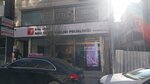 Opal Dental Clinic (İstanbul, Fatih, Akşemsettin Mah., Akdeniz Cad., 25) ، عيادات الأسنان