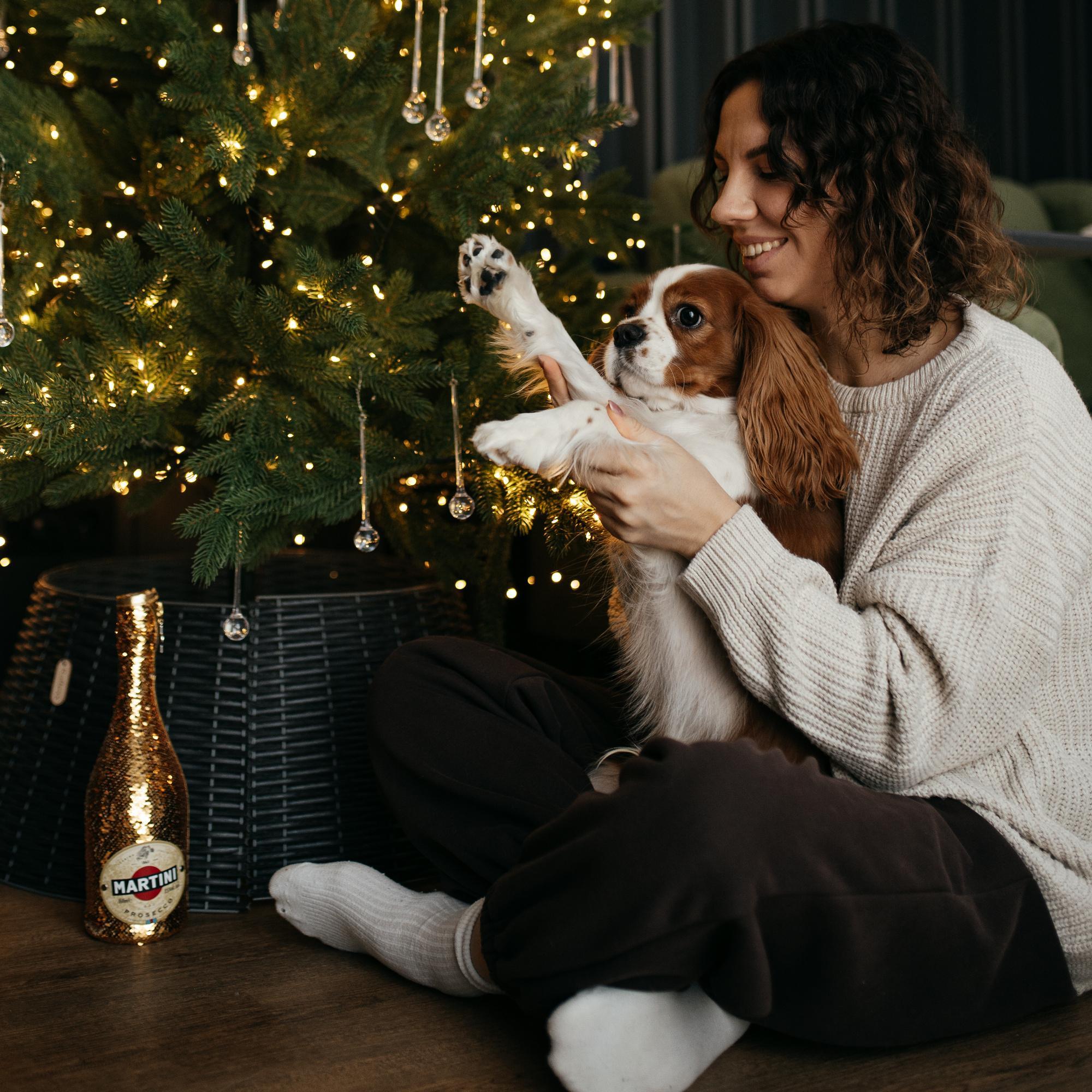 Фото Art House Gesh