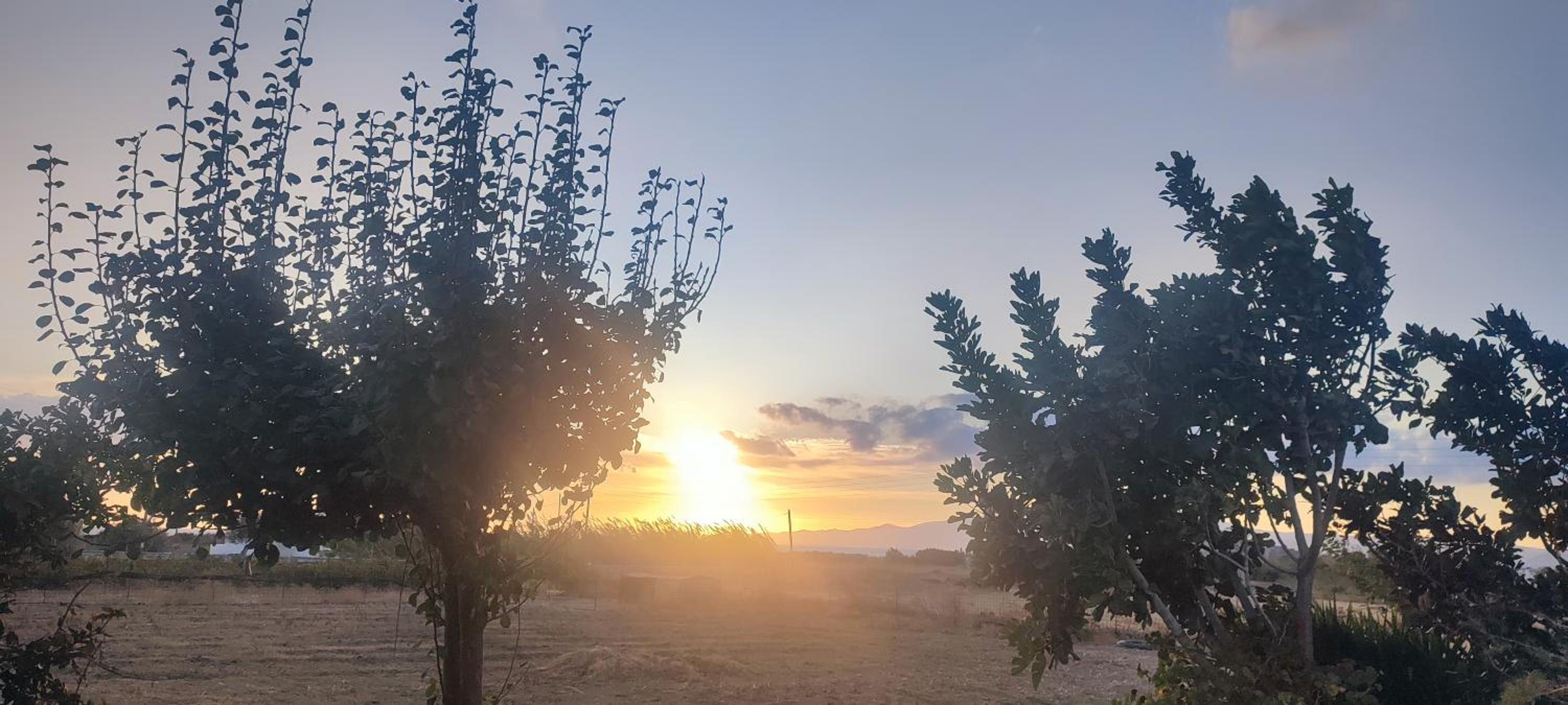 Фото Joanna's Apartments