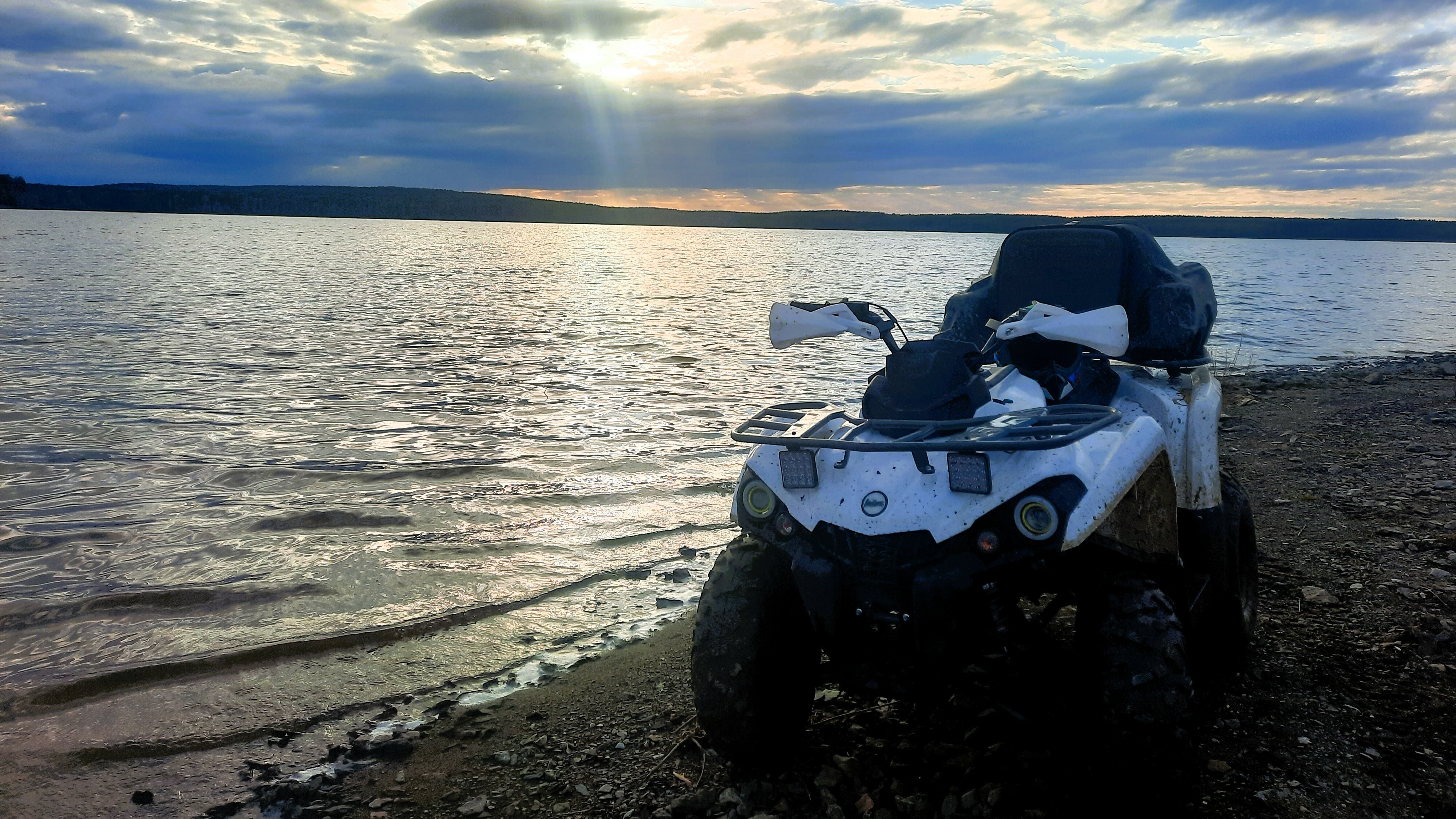 Фото Свобода леса