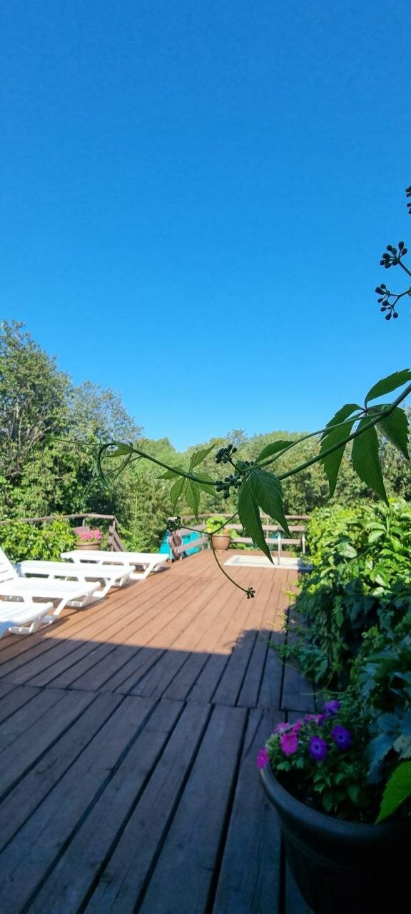 Фото У родника