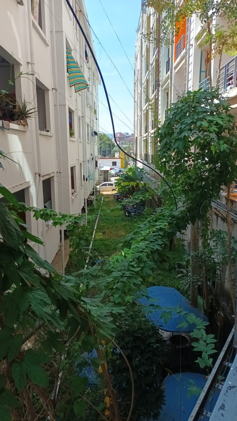 Фото Zephyr Grand Hotel