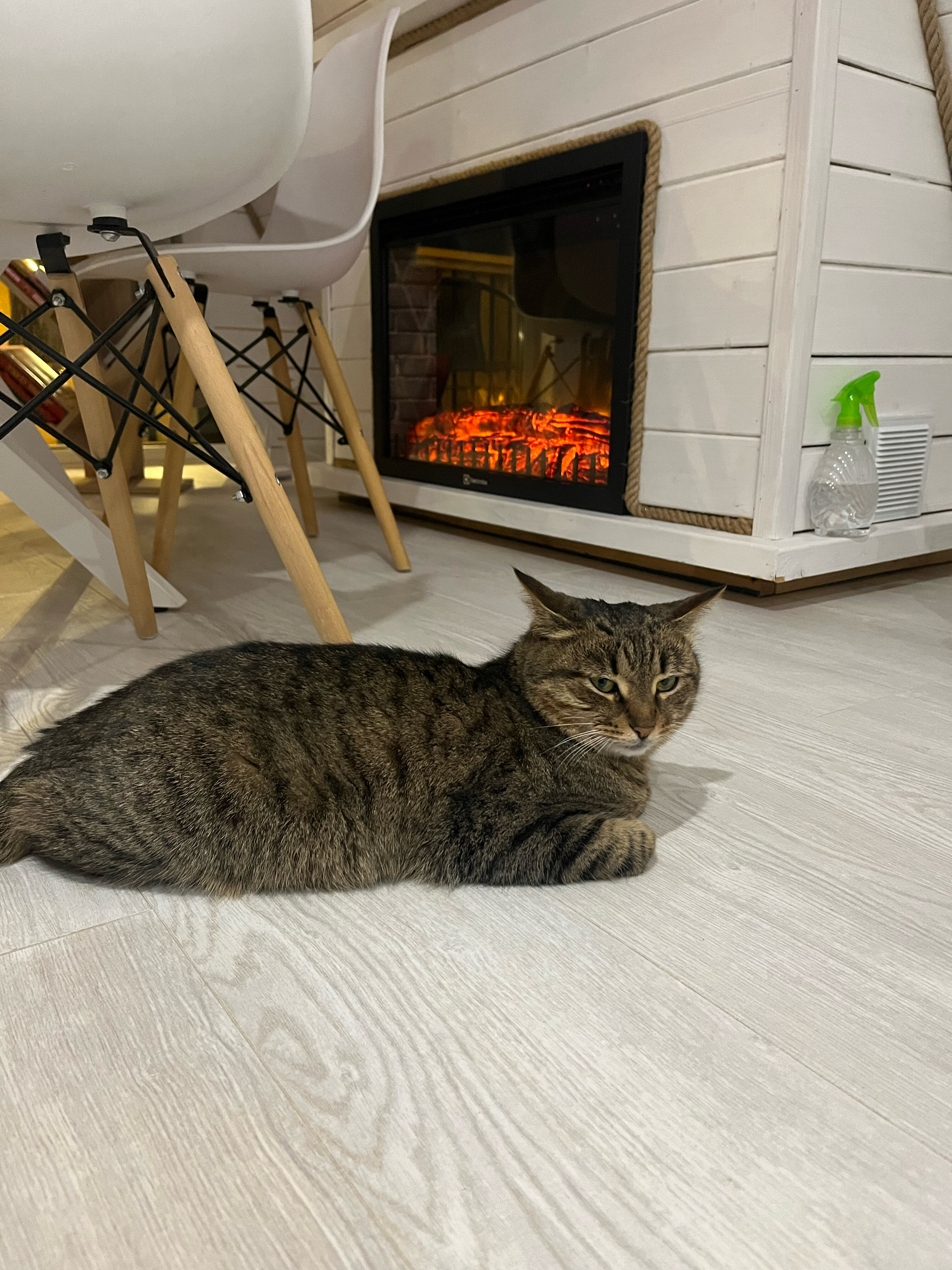 Фото Sunrise Camp