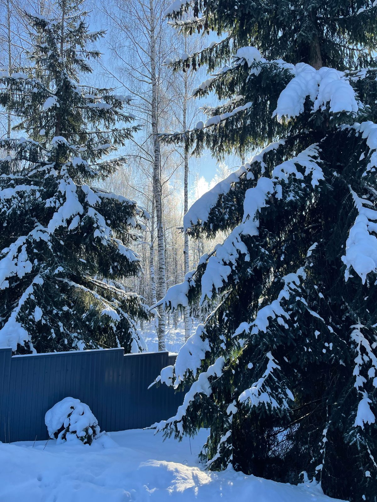 Фото The Datcha!