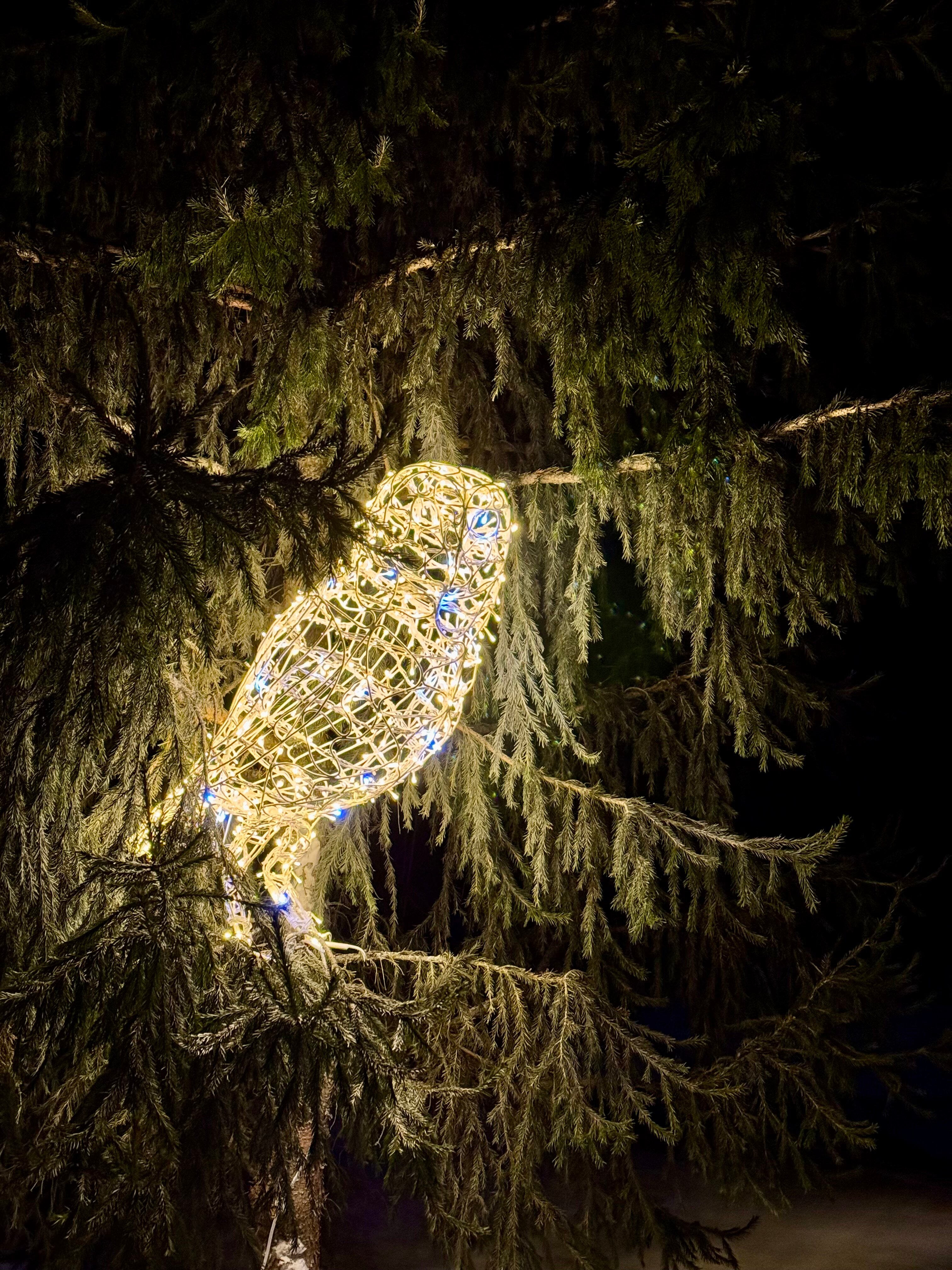 Фото Новые соседи