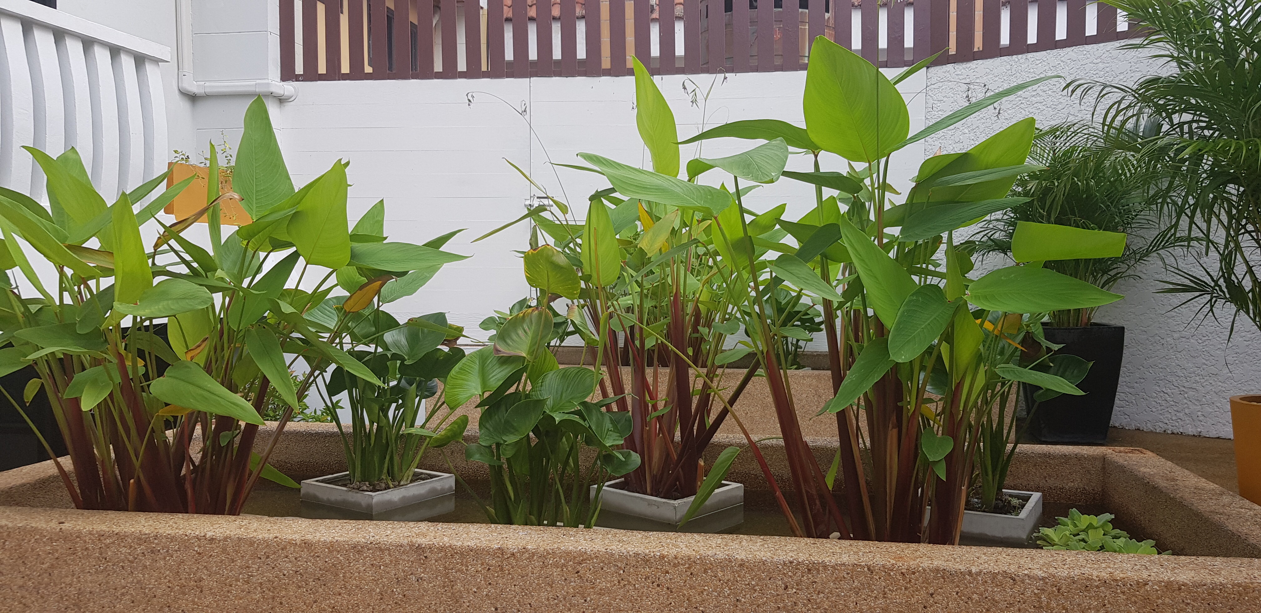 Фото Rattana Karon Beach Hotel