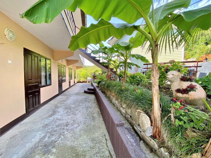 Фото Горный воздух