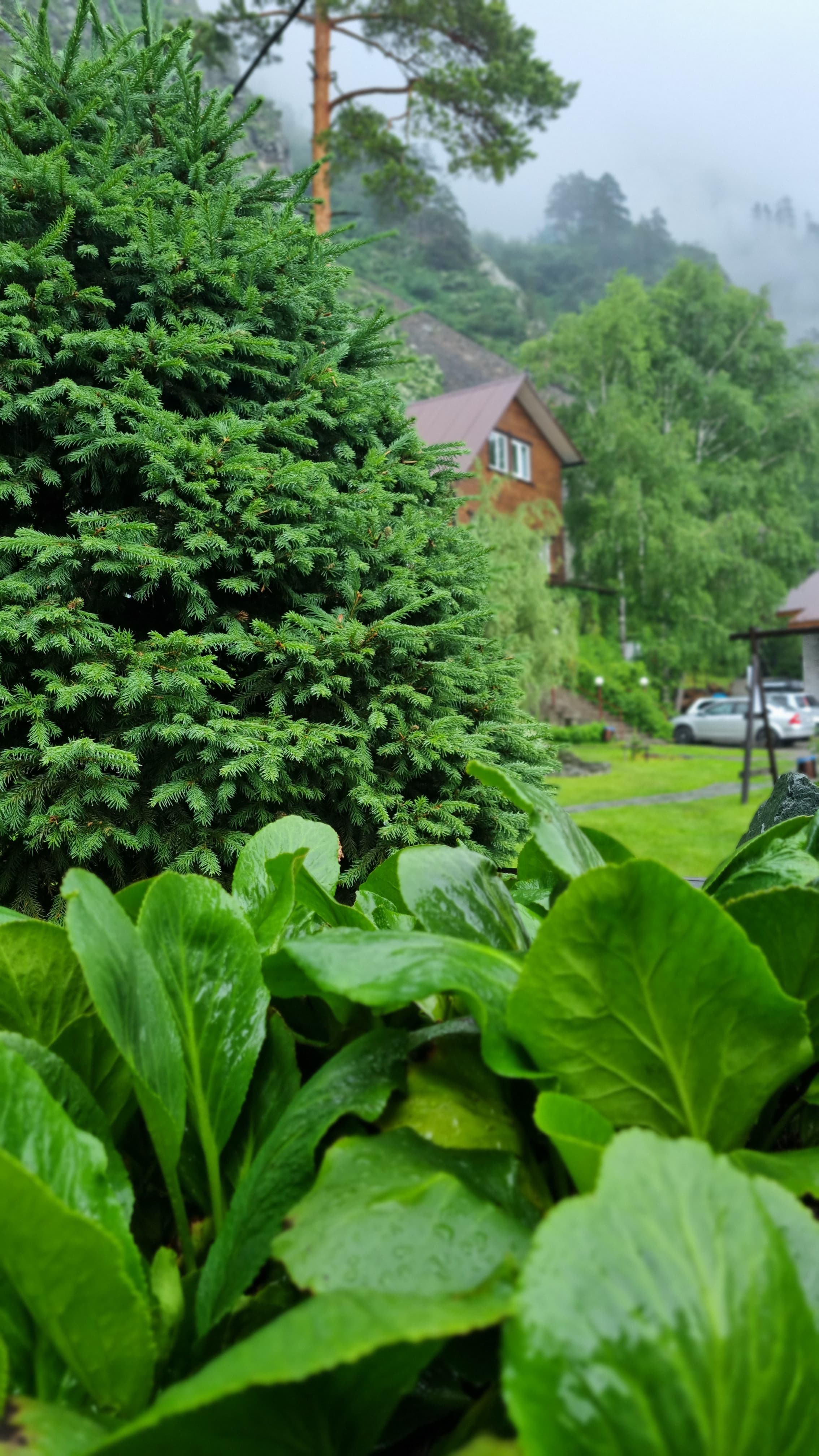 Фото Усадьба Алтын Торбок