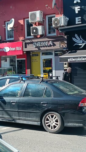 Drina Sarrafiye Fotoğraf 2