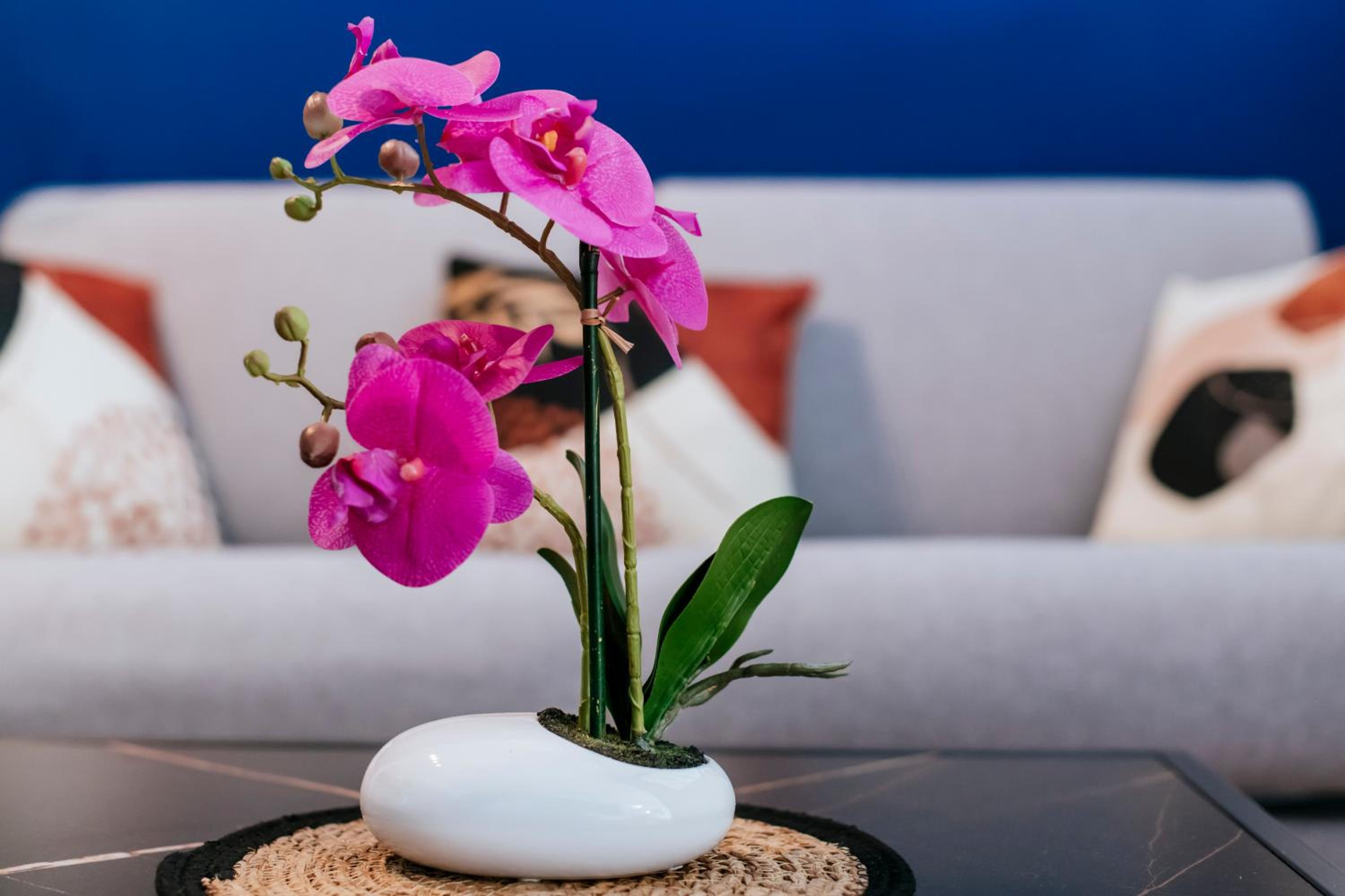 Фото Aparthotel Adagio Porte de Versailles