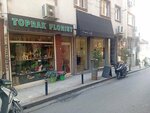 Toprak Florist (Istanbul, Sisli, Ferikoy Neighborhood, Azak Street, 9) ، محل زهور