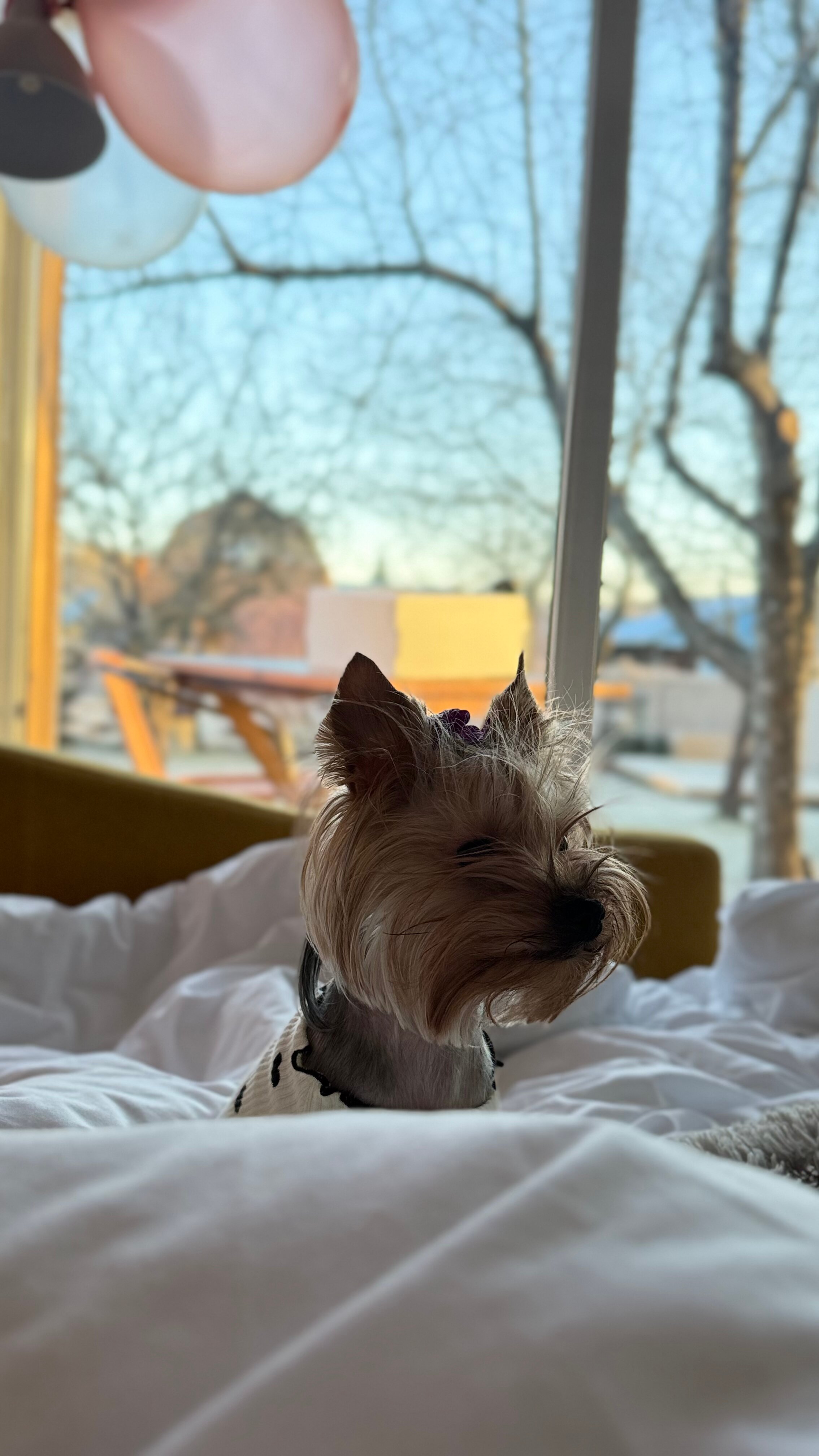 Фото Резорт энд спать