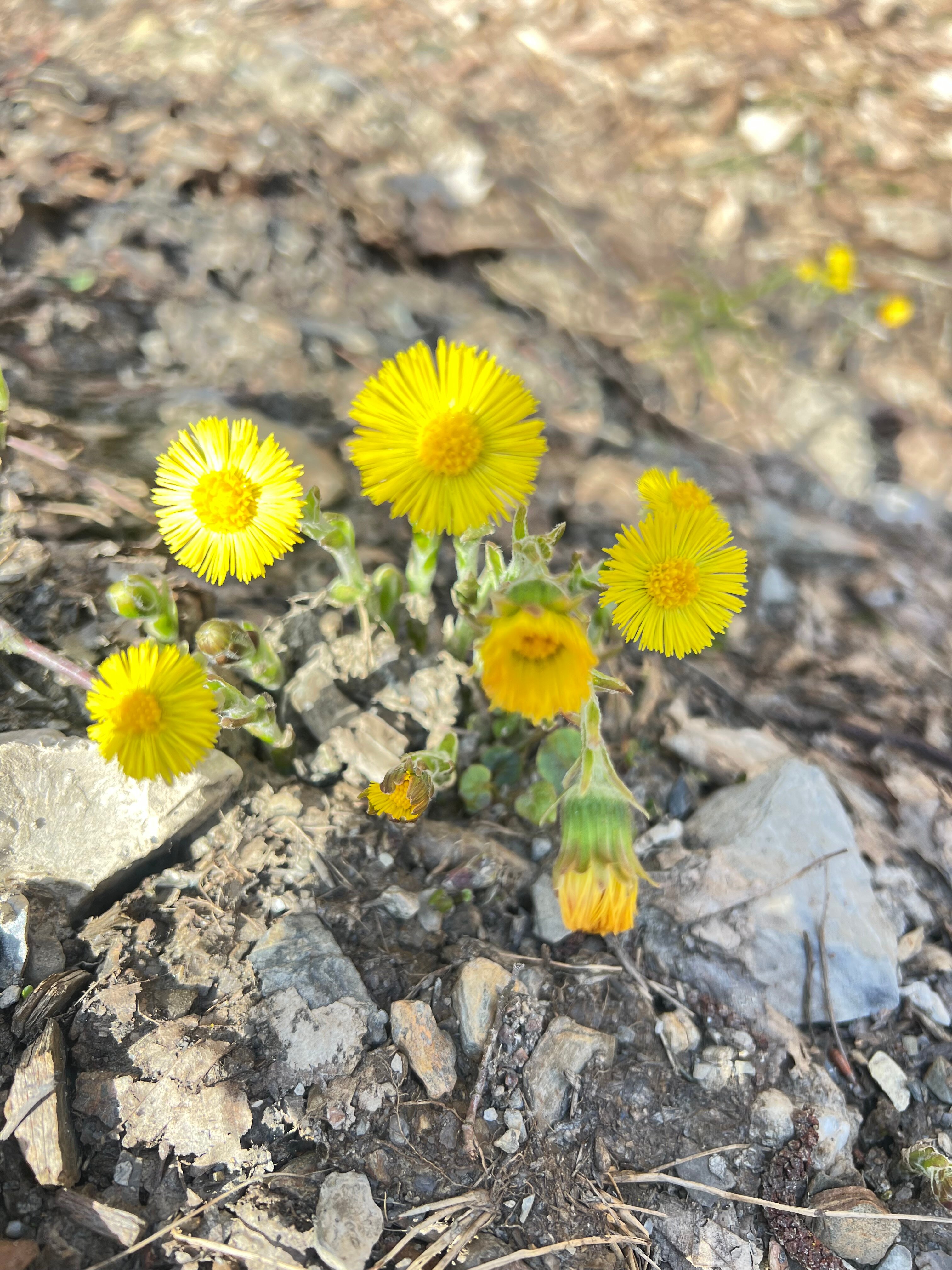 Фото Куб в Кубе