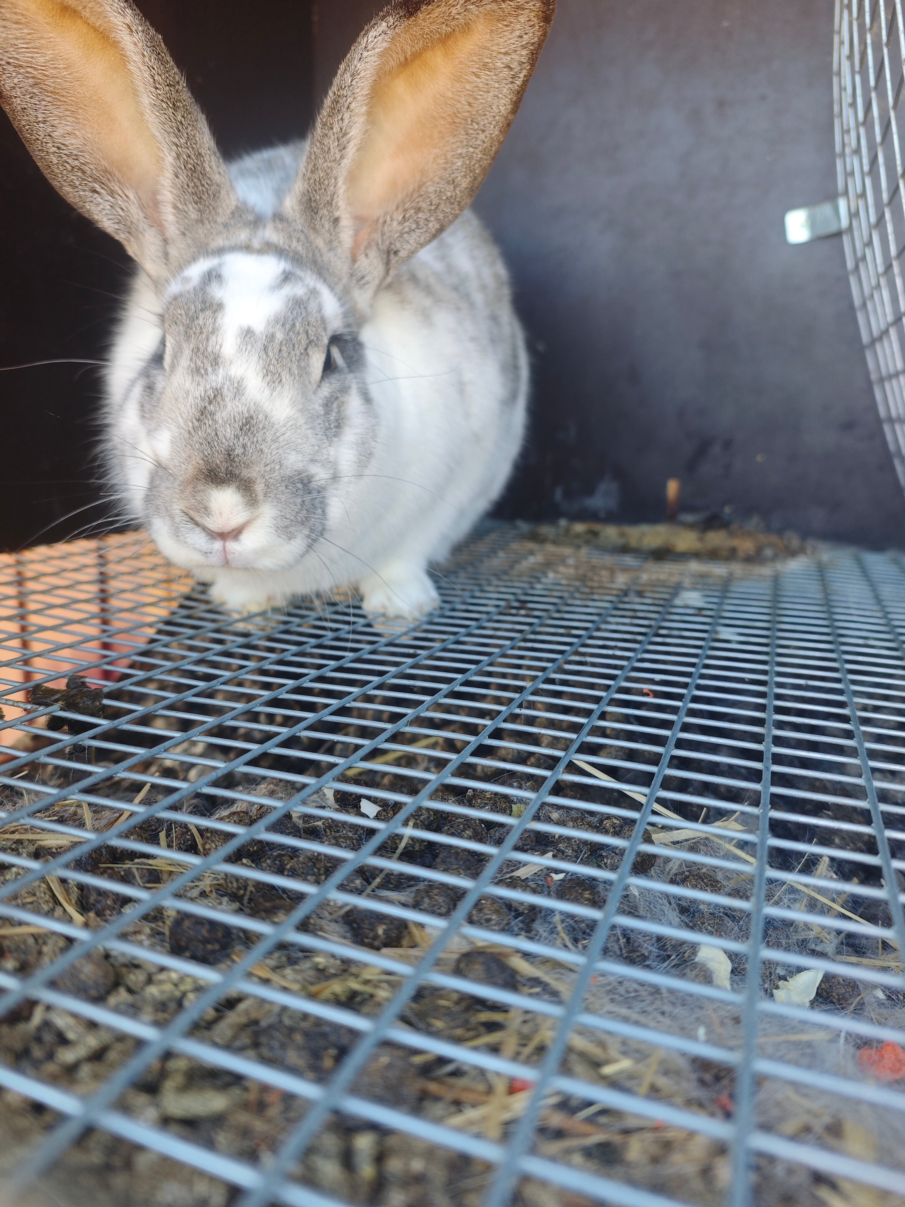 Фото Ultralight-world