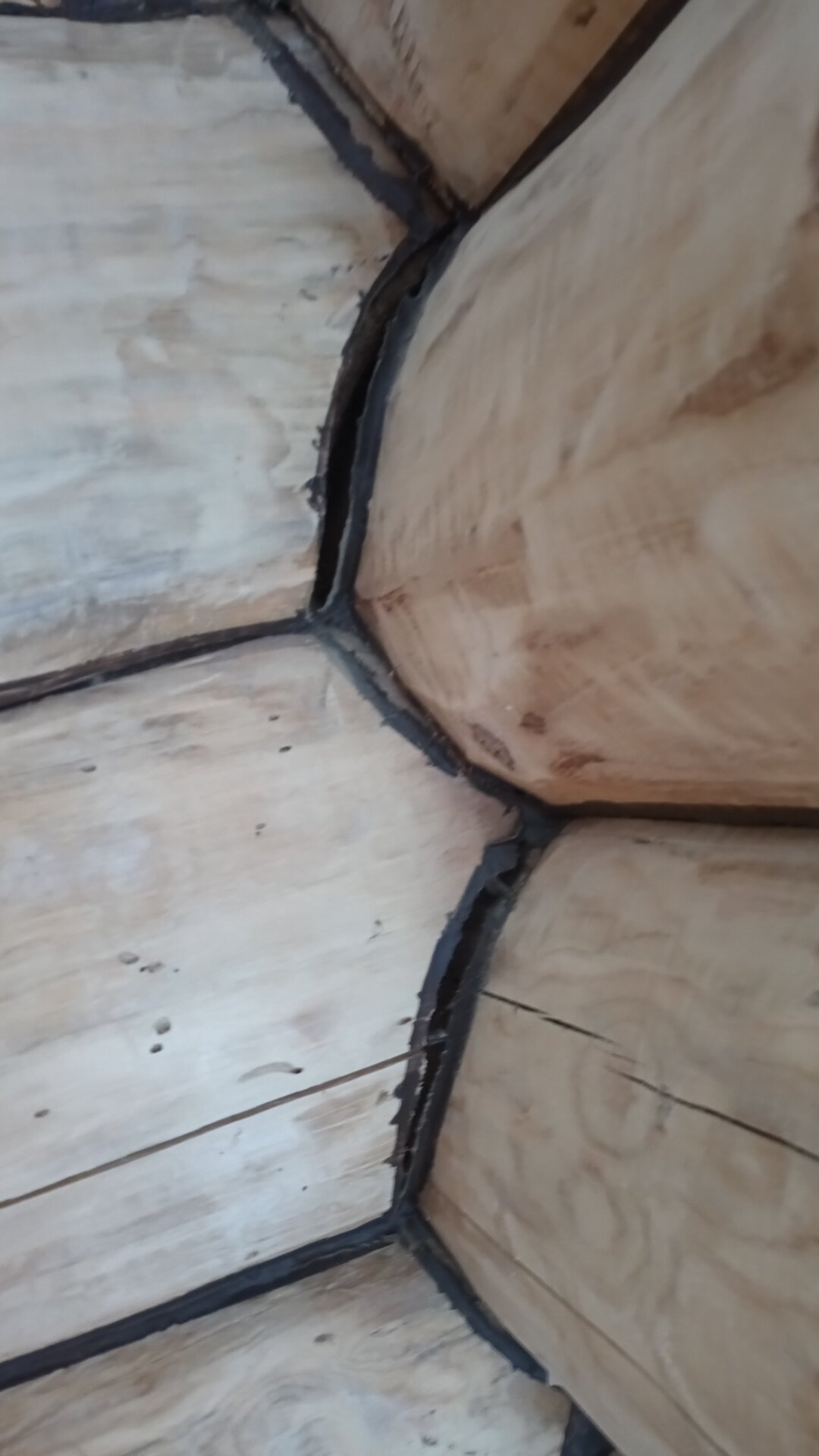 Фото Сила Сибири