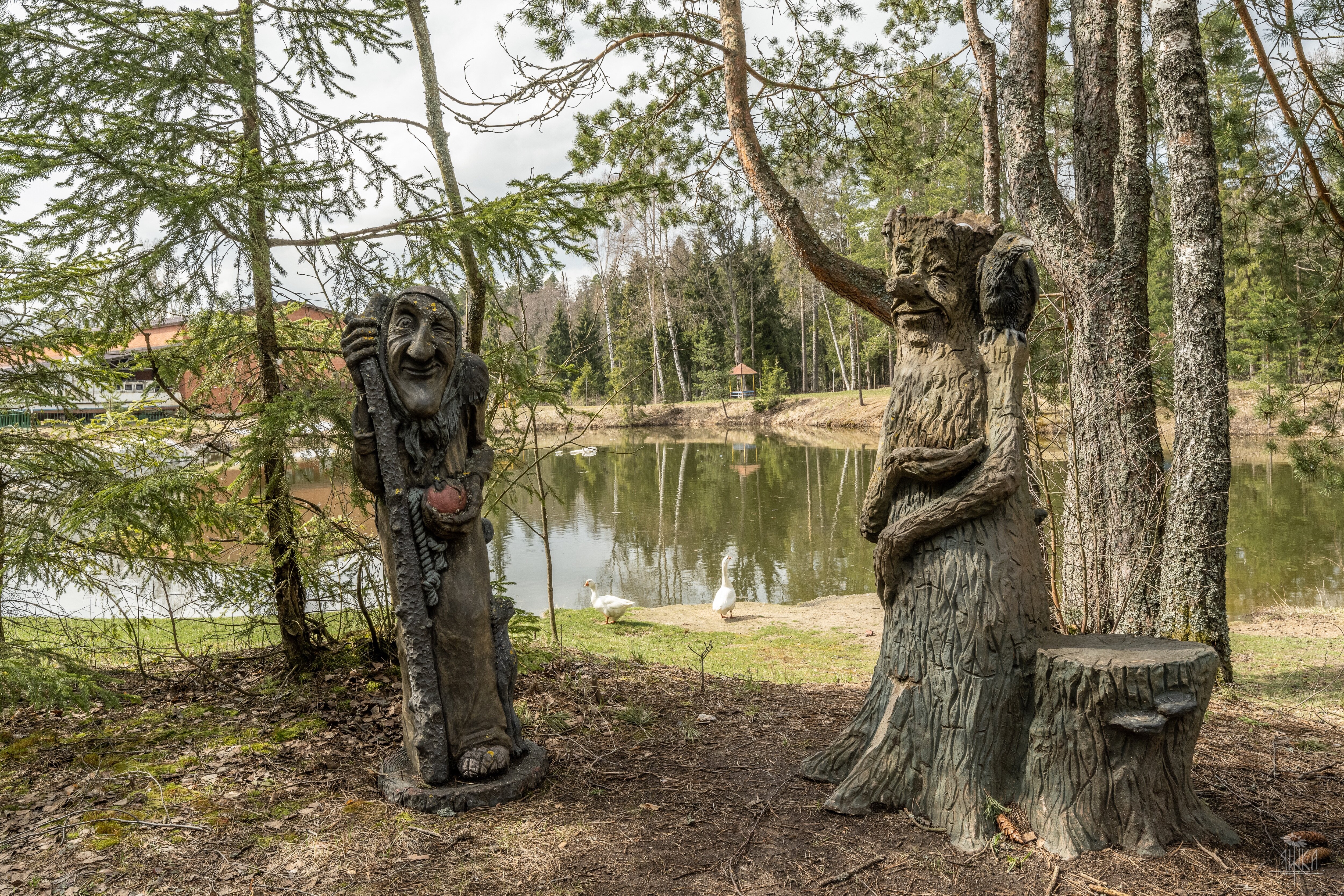 Фото Николо-поле