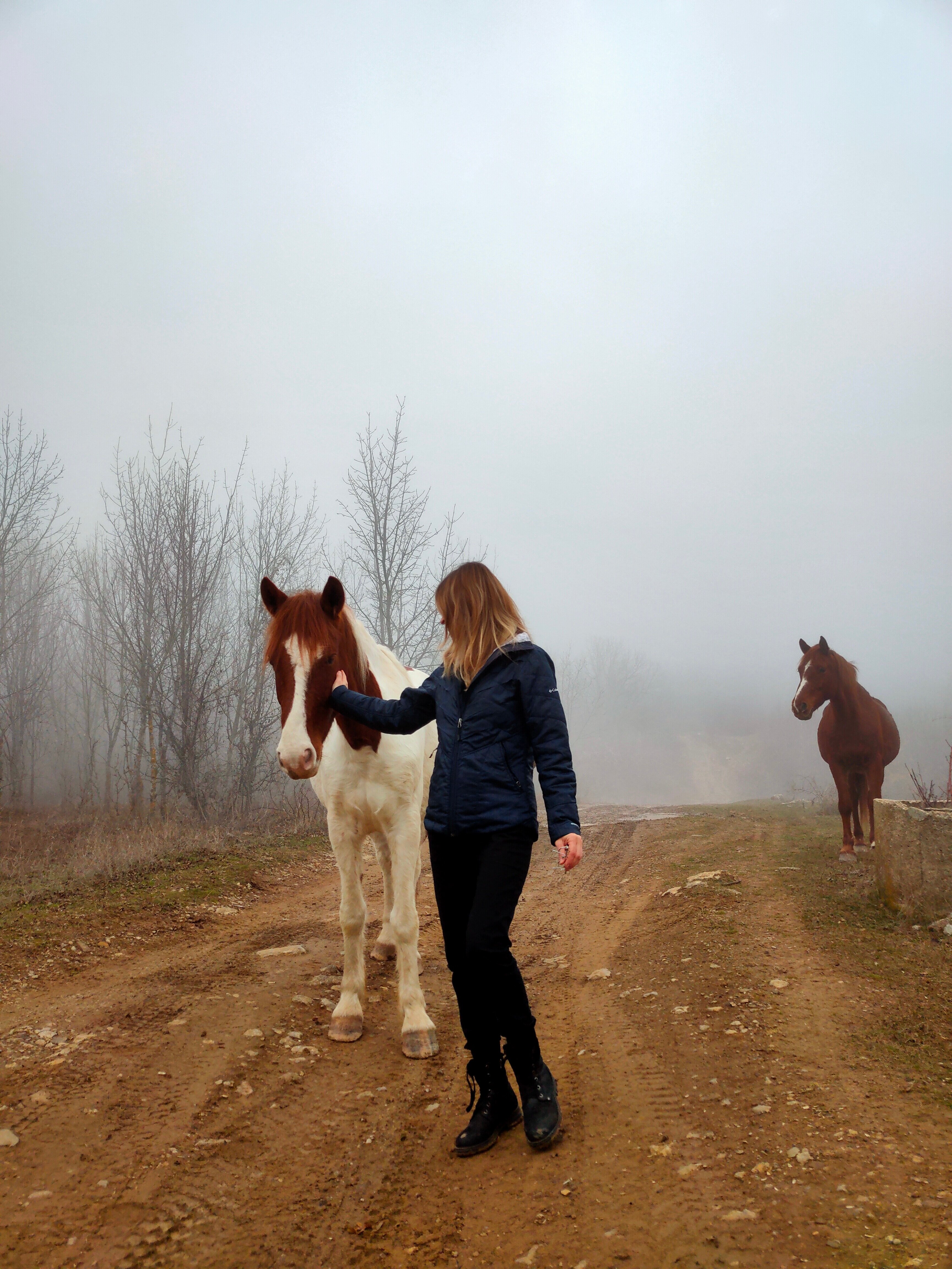 Фото Купольный домик в горах Крыма