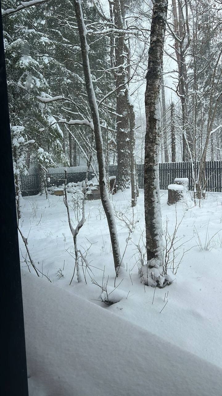 Фото Panorama Home