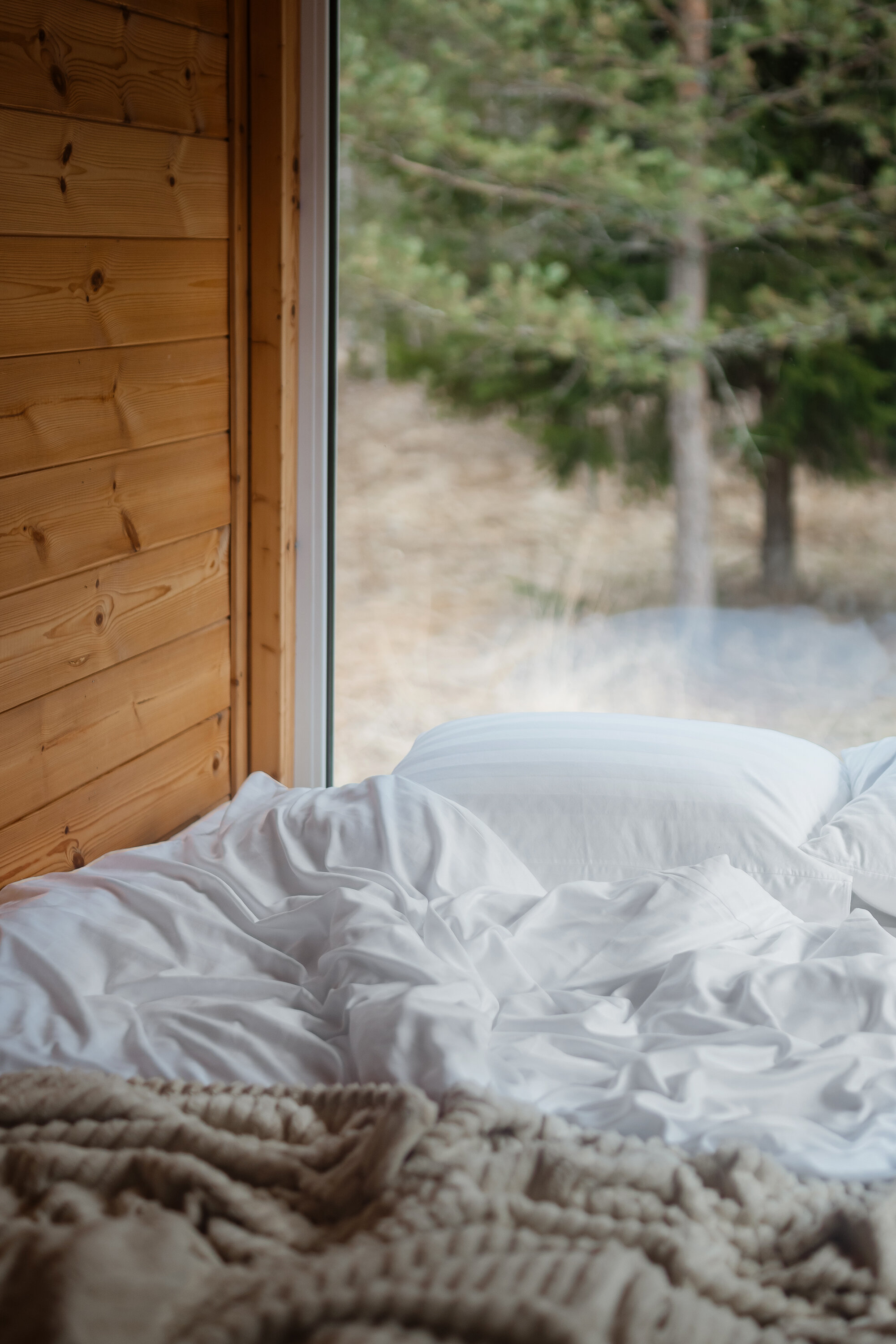 Фото Ягодная деревня