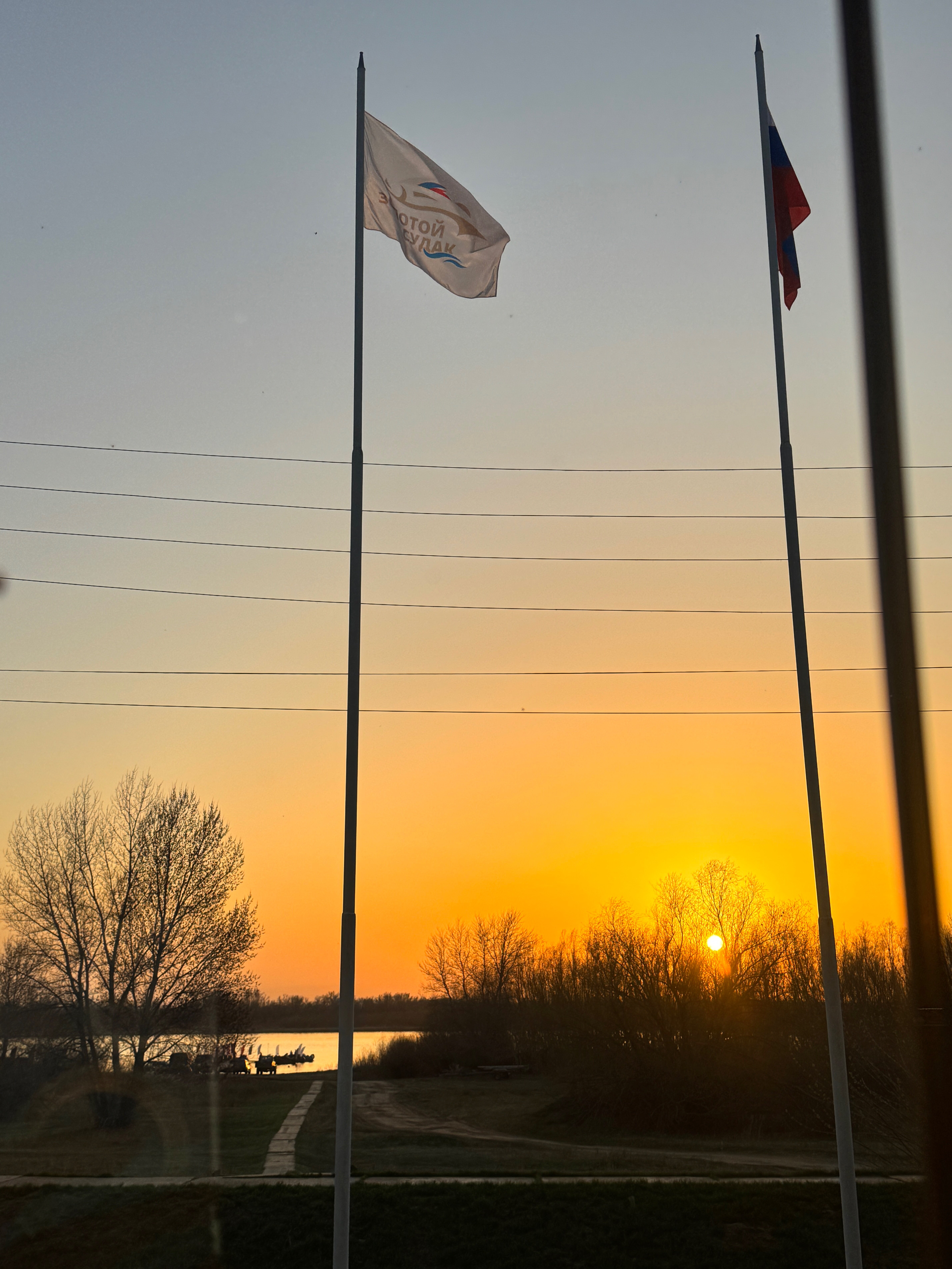 Фото Синяя птица