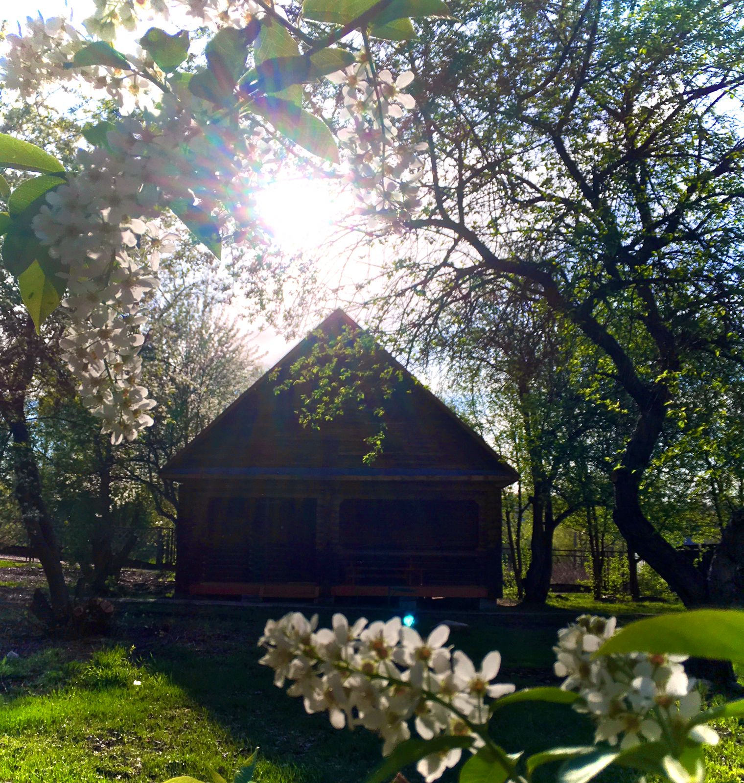 Фото Летний сад