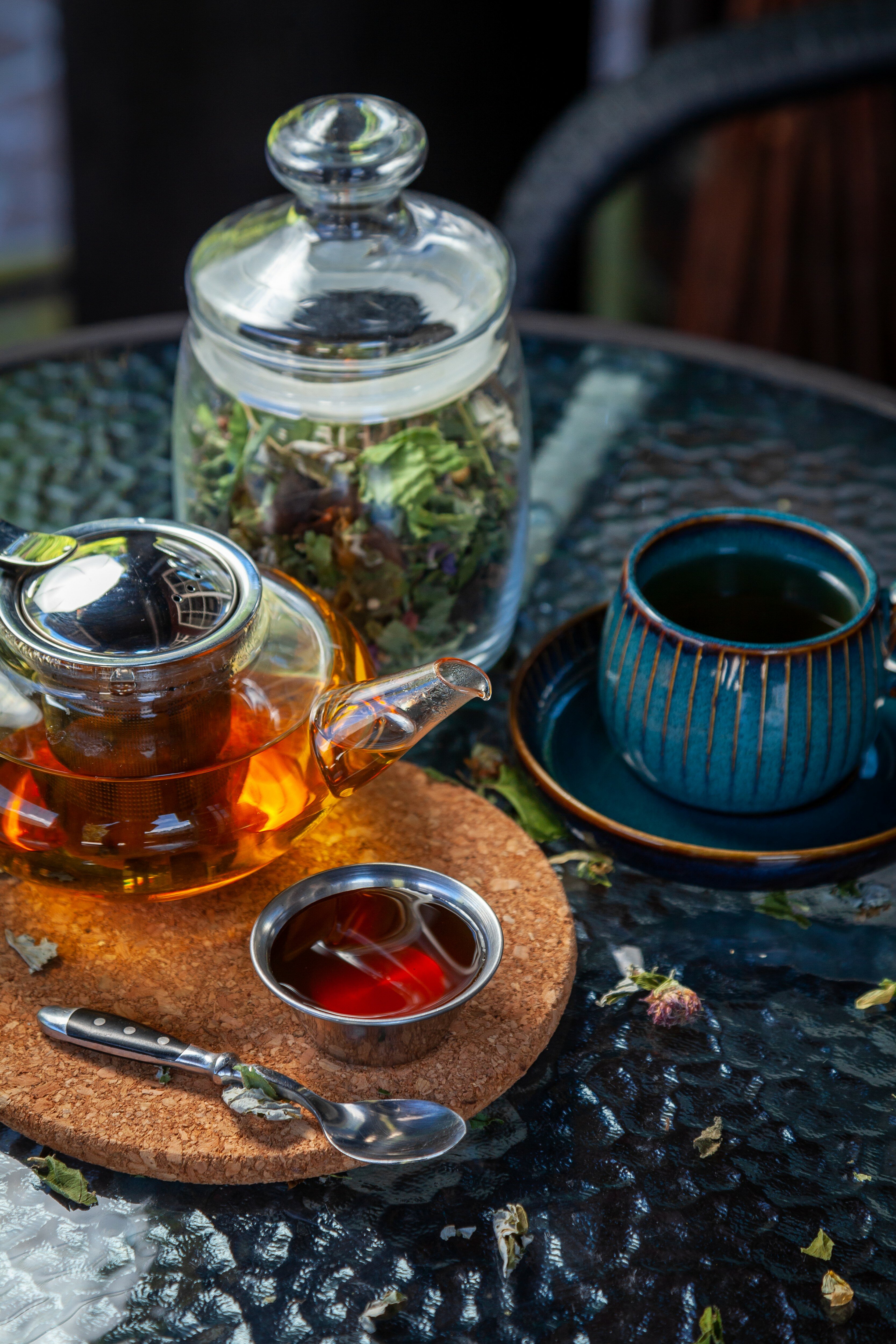 Фото Леонтоподиум