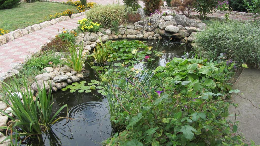 Фото Магнолия