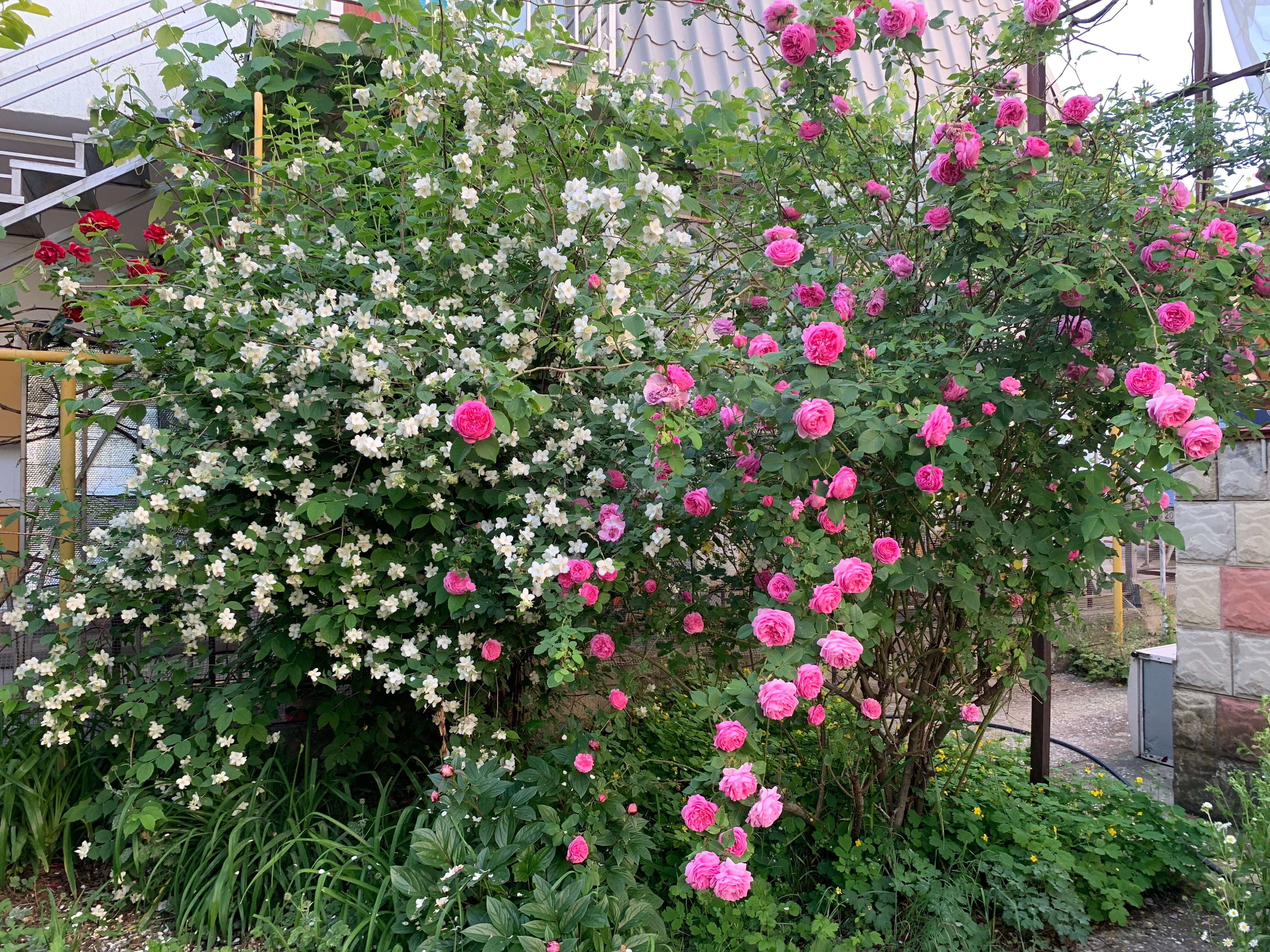 Фото Ракета