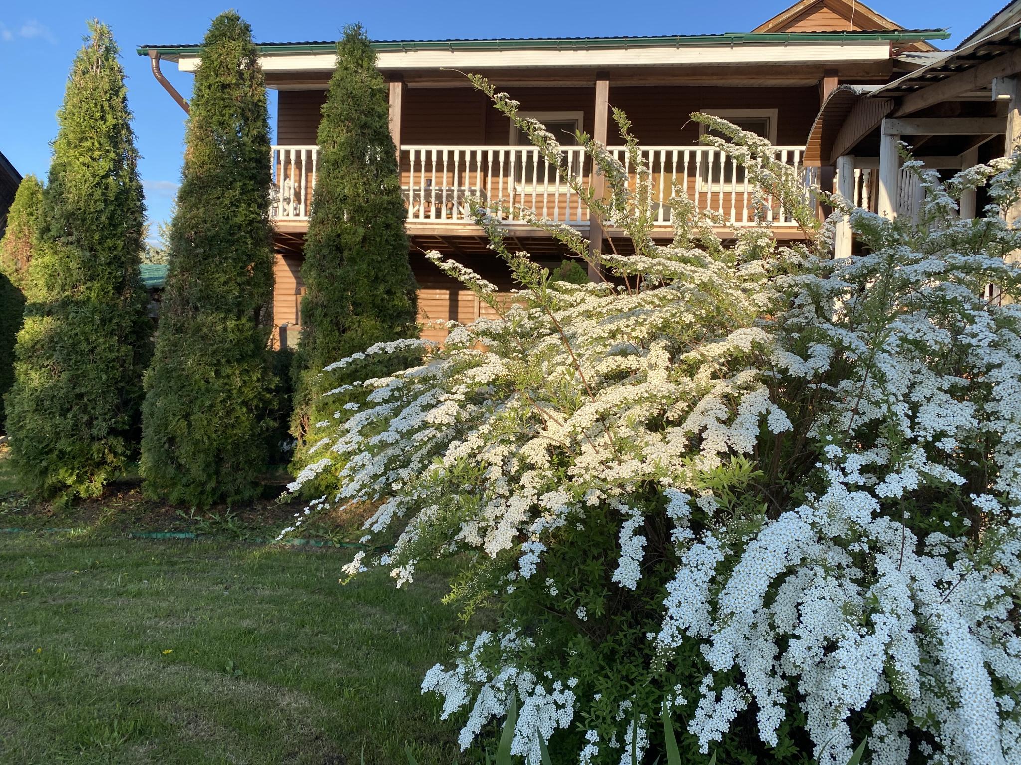 Фото Самоварное заведение в Суздале