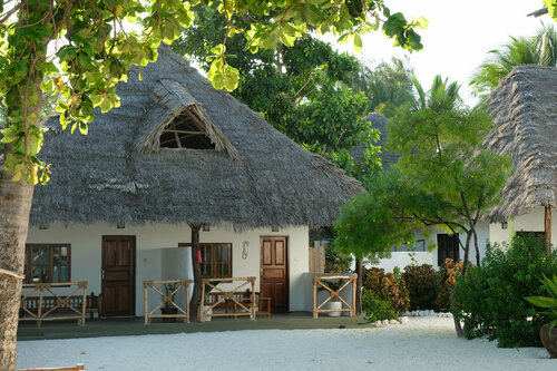 Гостиница Makuti Beach Bungalows в Танзании