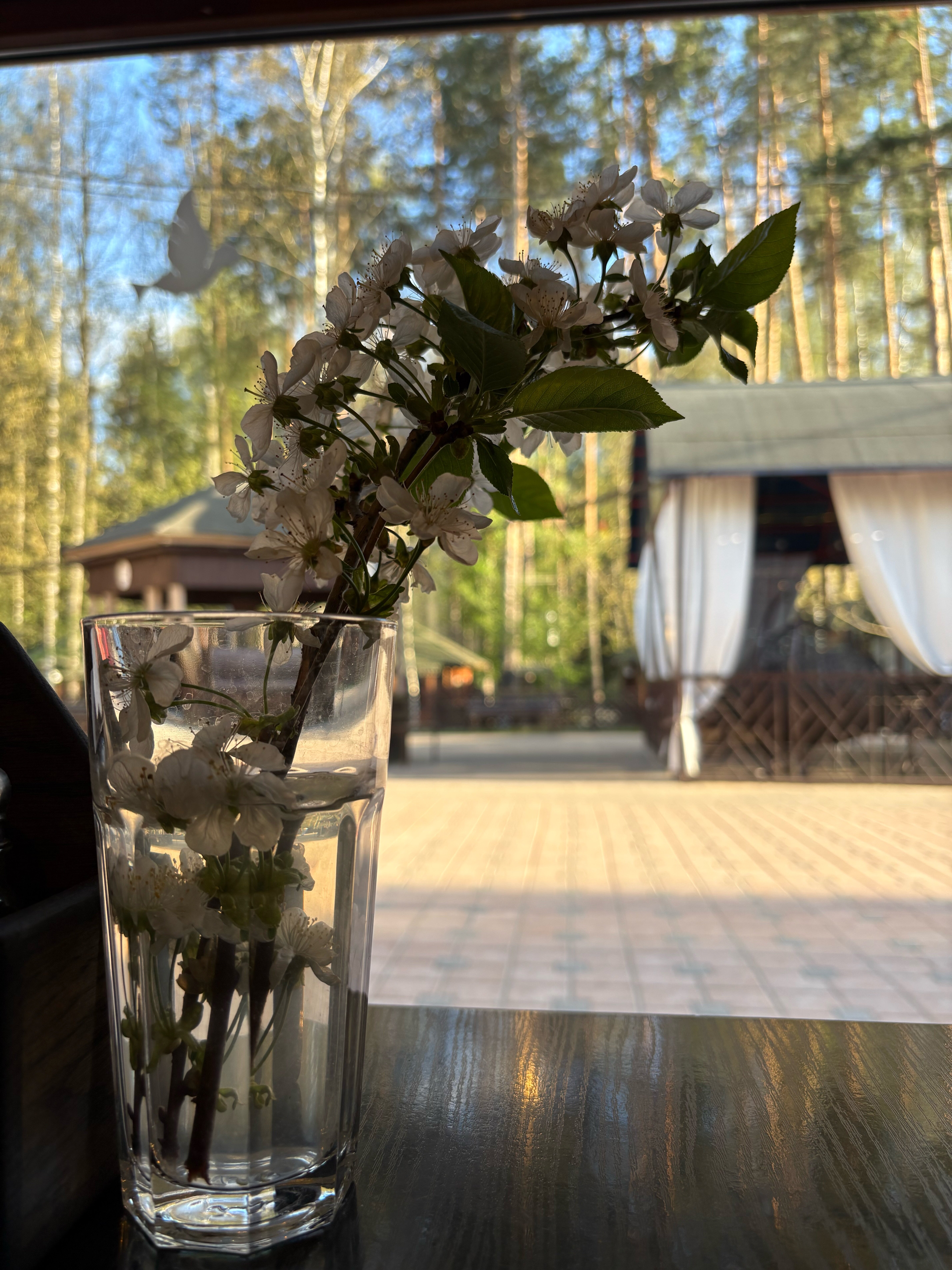 Фото Грин Парк