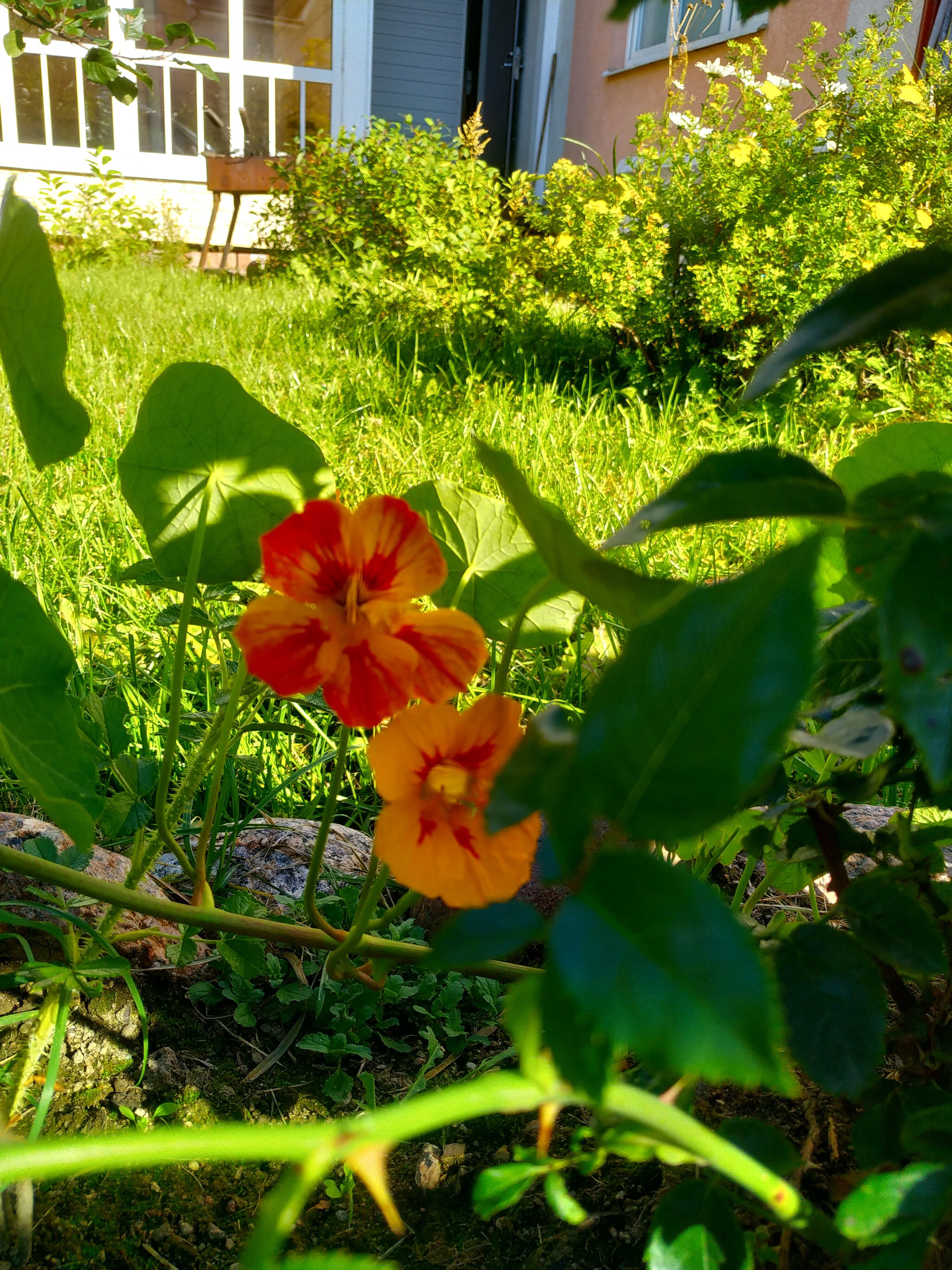 Фото Гармония