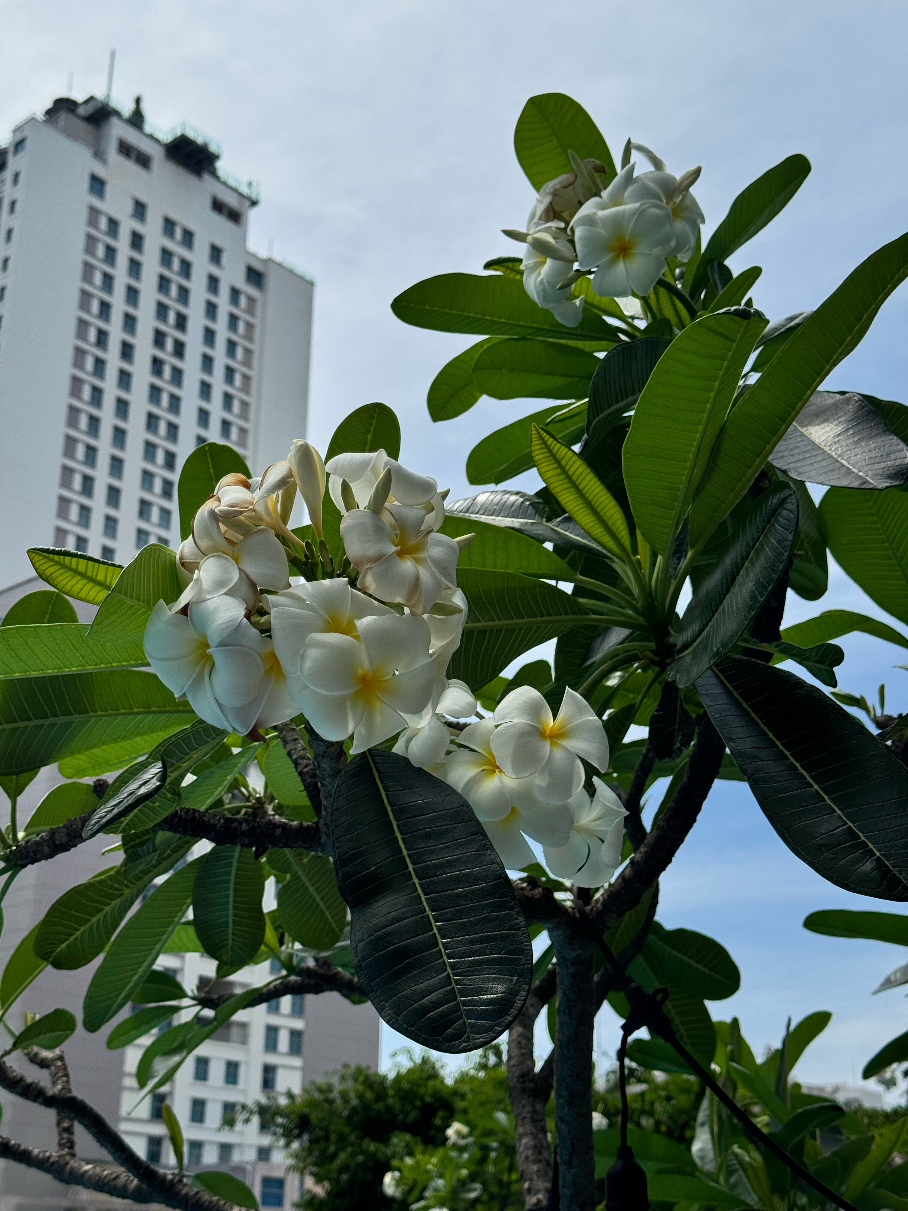 Фото Tui Blue Nha Trang