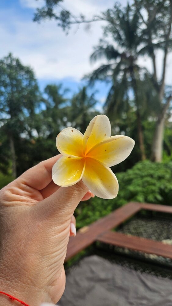 Фото Suara Alam Hotel Ubud by Ini Vie Hospitality