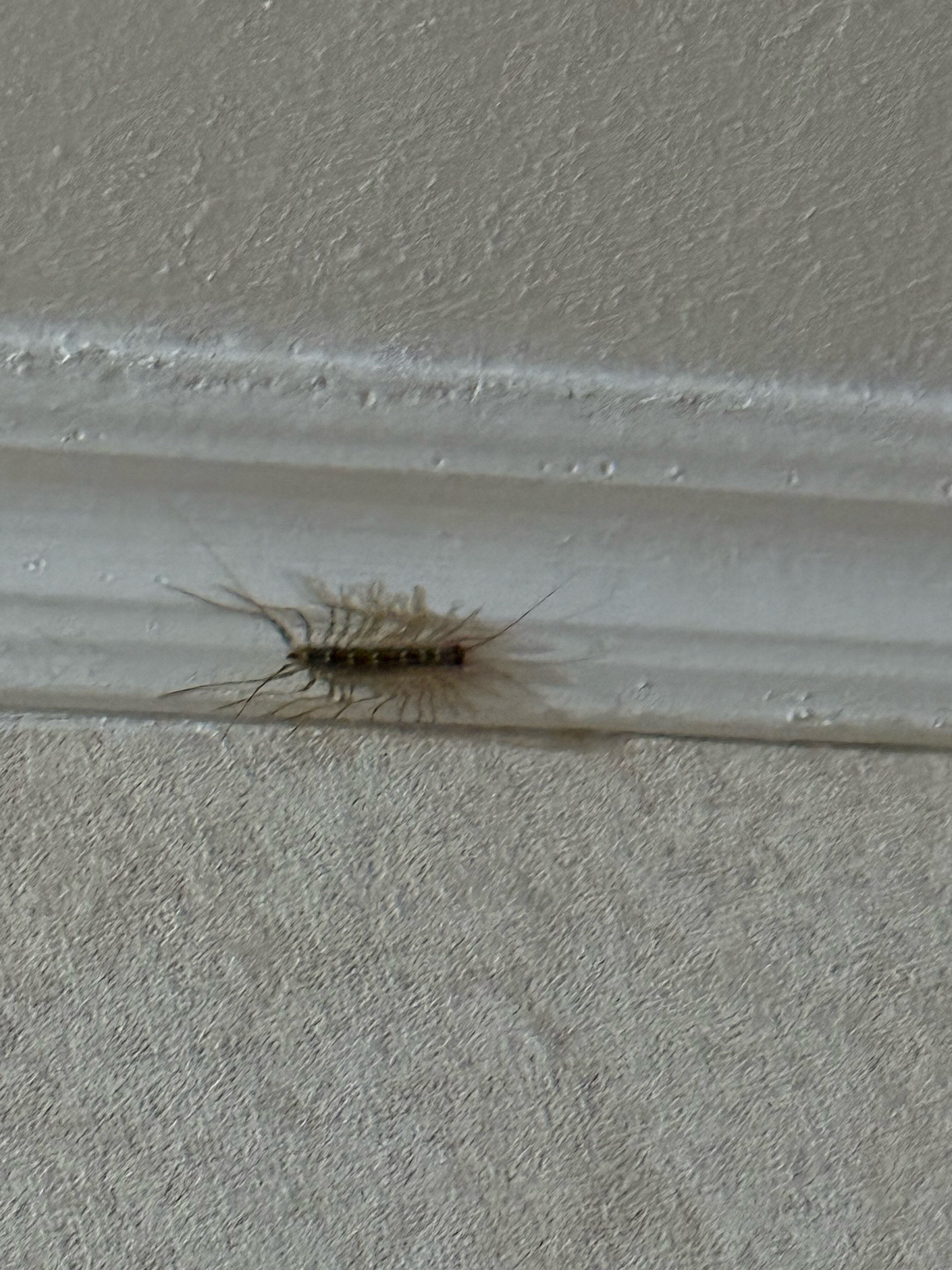 Фото Чистополь