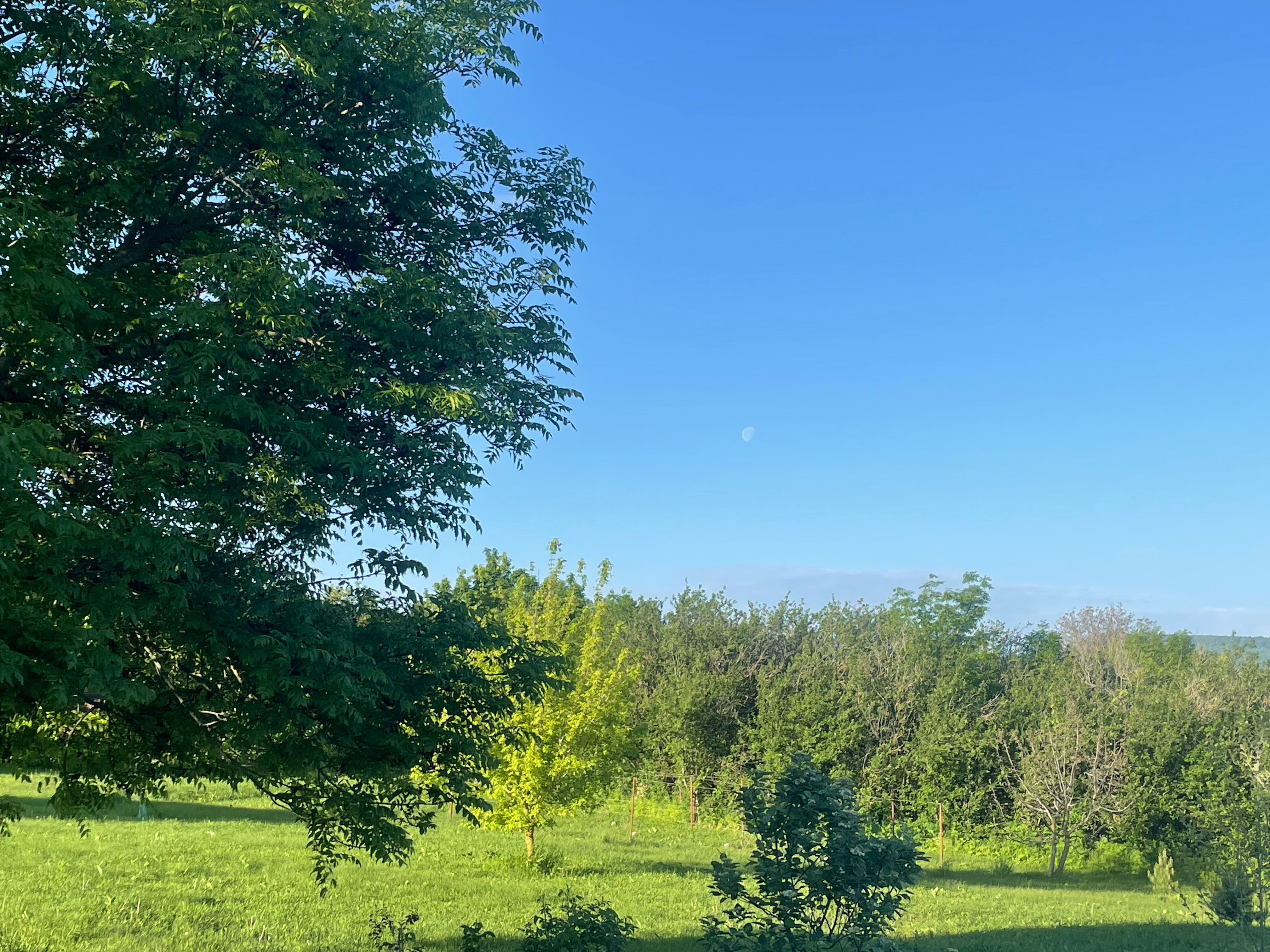 Фото Lindens Ecopark