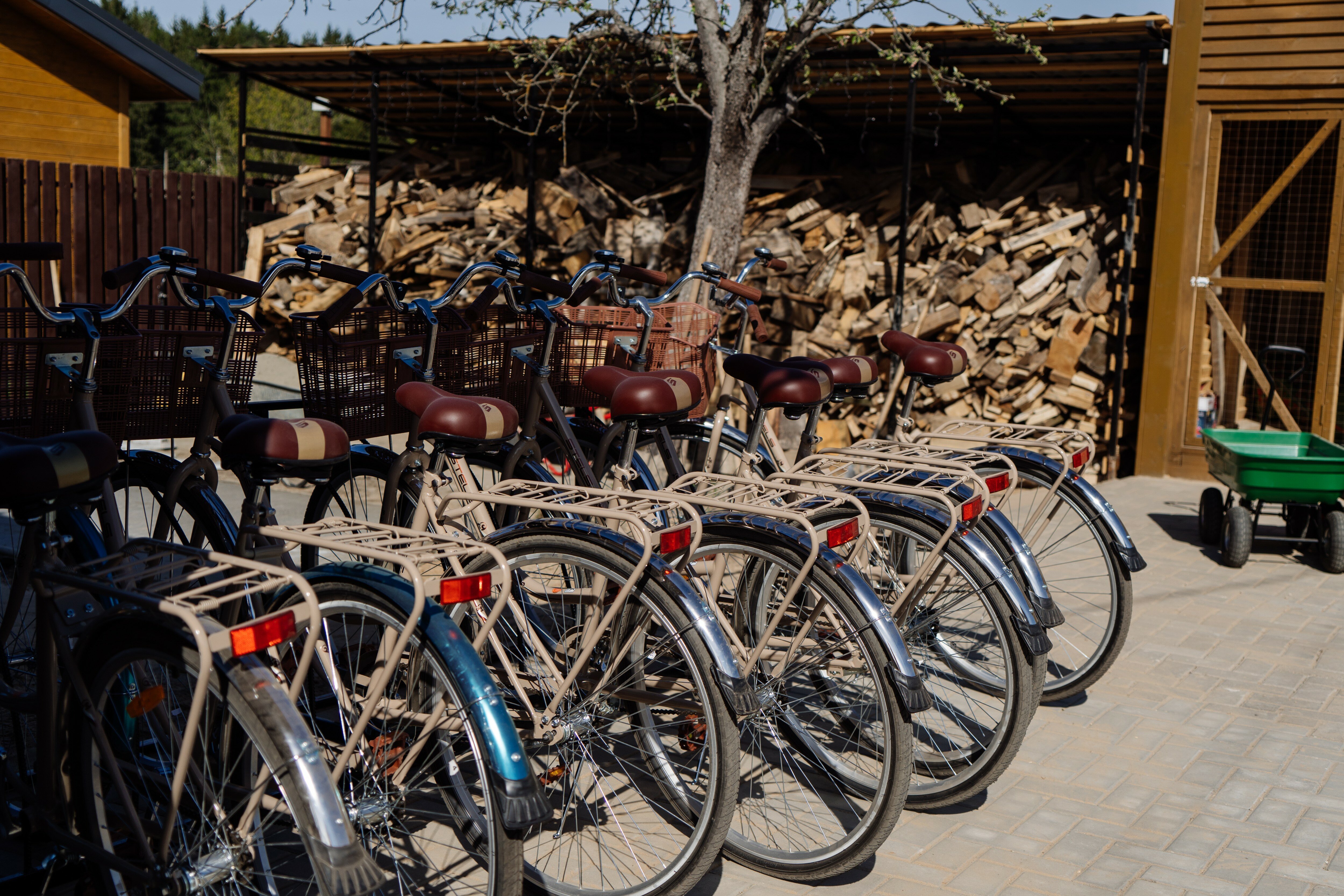 Фото Родные просторы