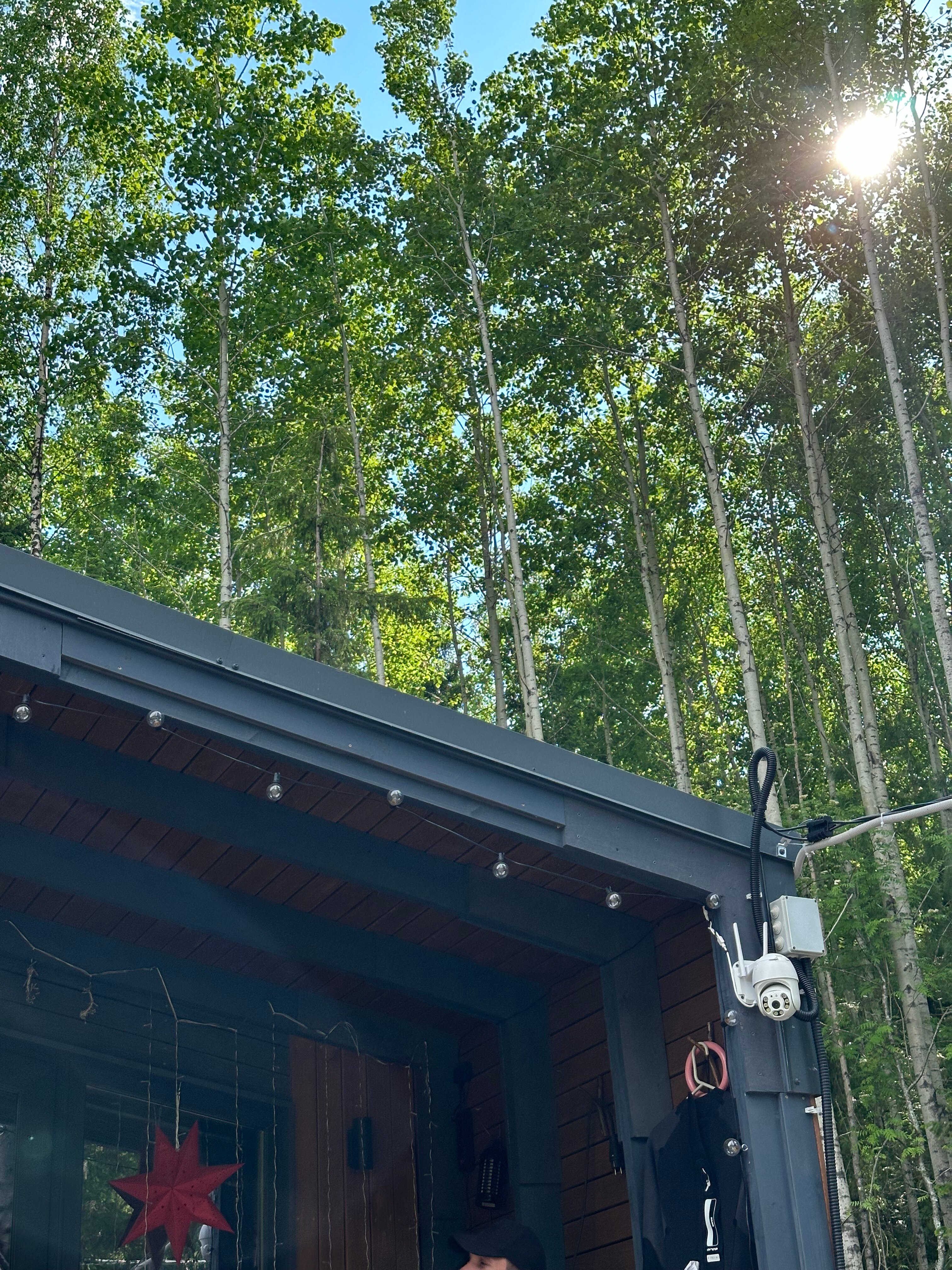 Фото Мама, я на даче