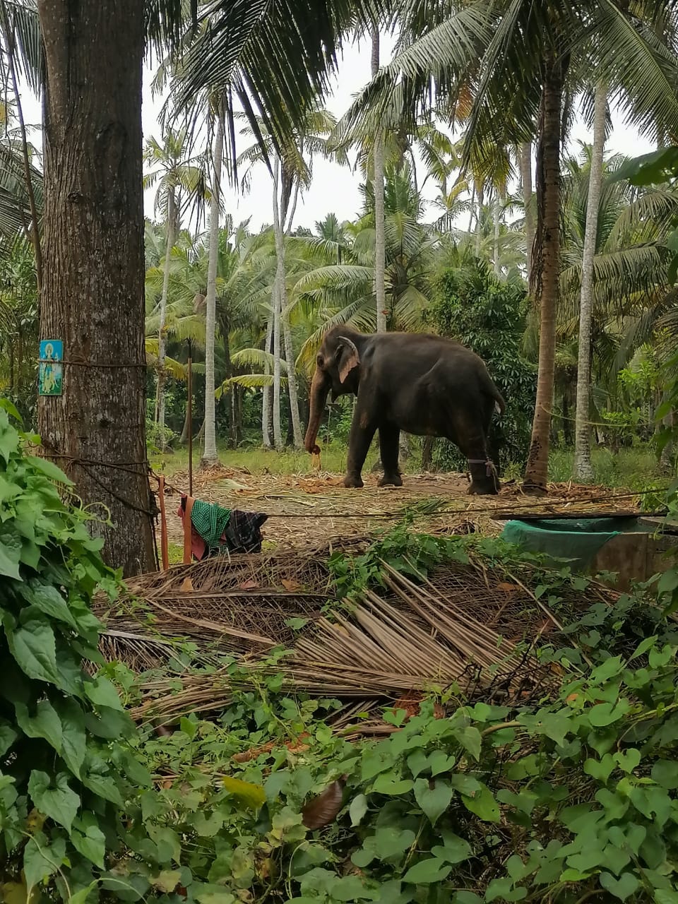 Фото Methira Villa