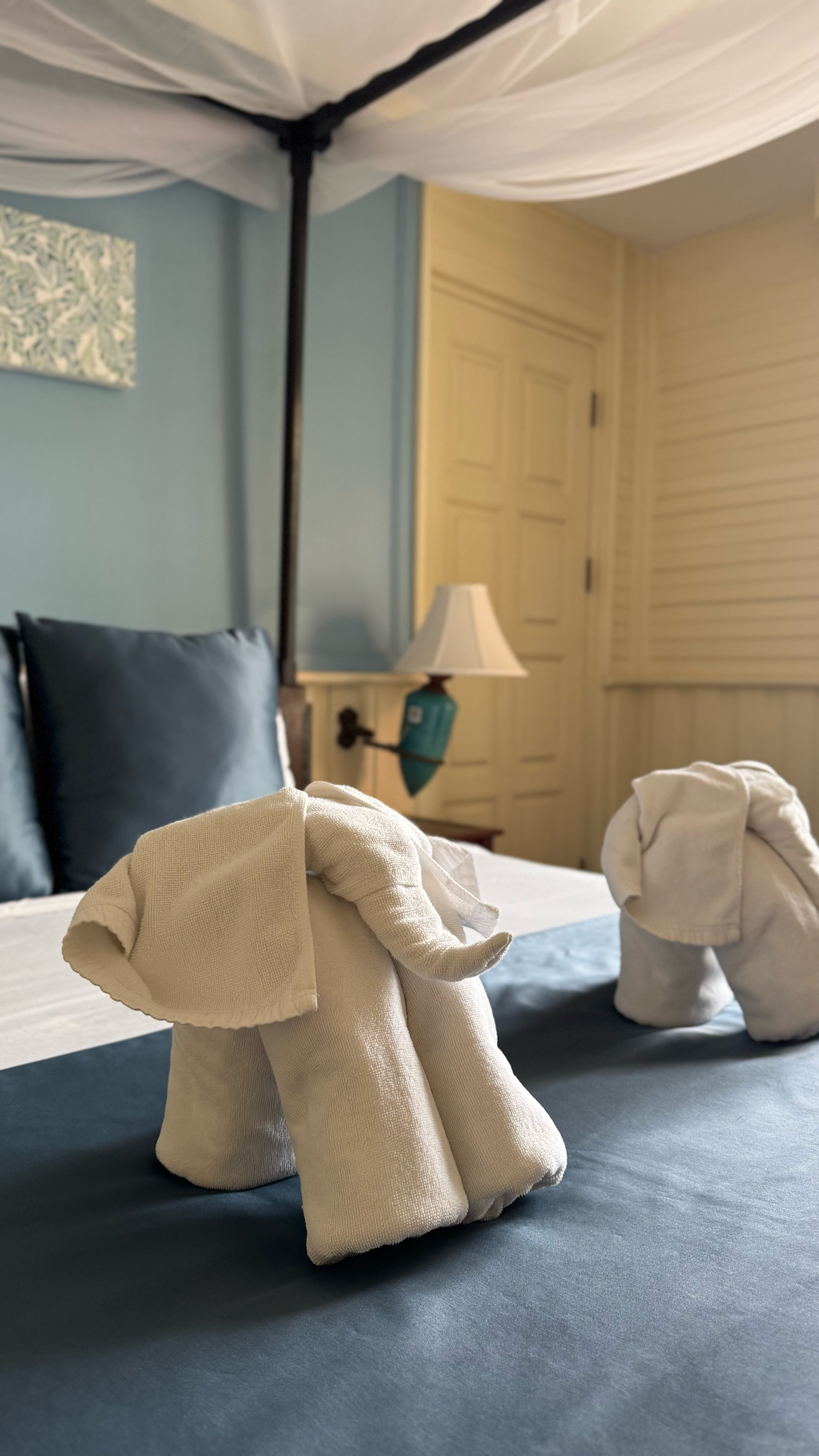 Фото Buddy Lodge