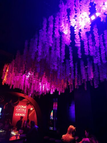 Ирина Медведеваның кискасы