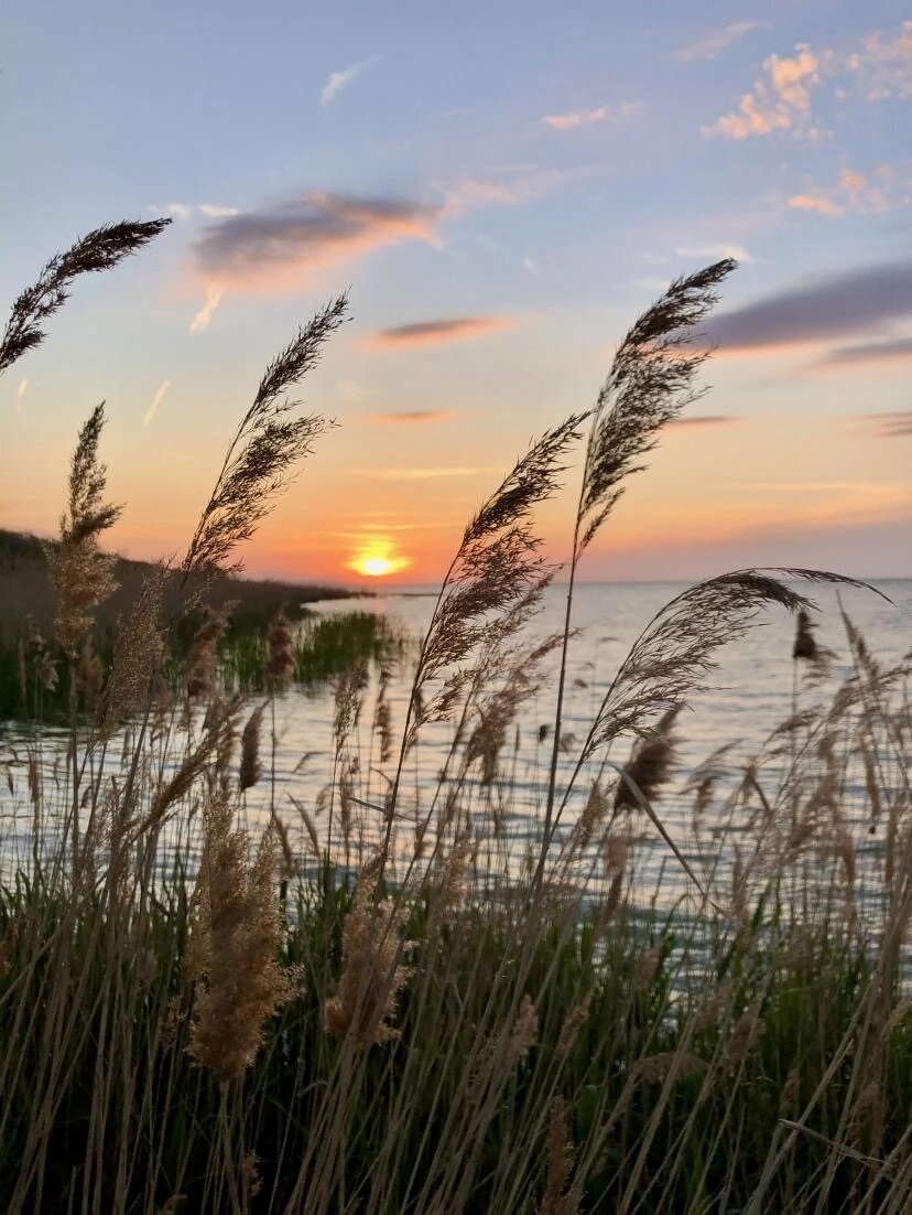 Фото Катрин