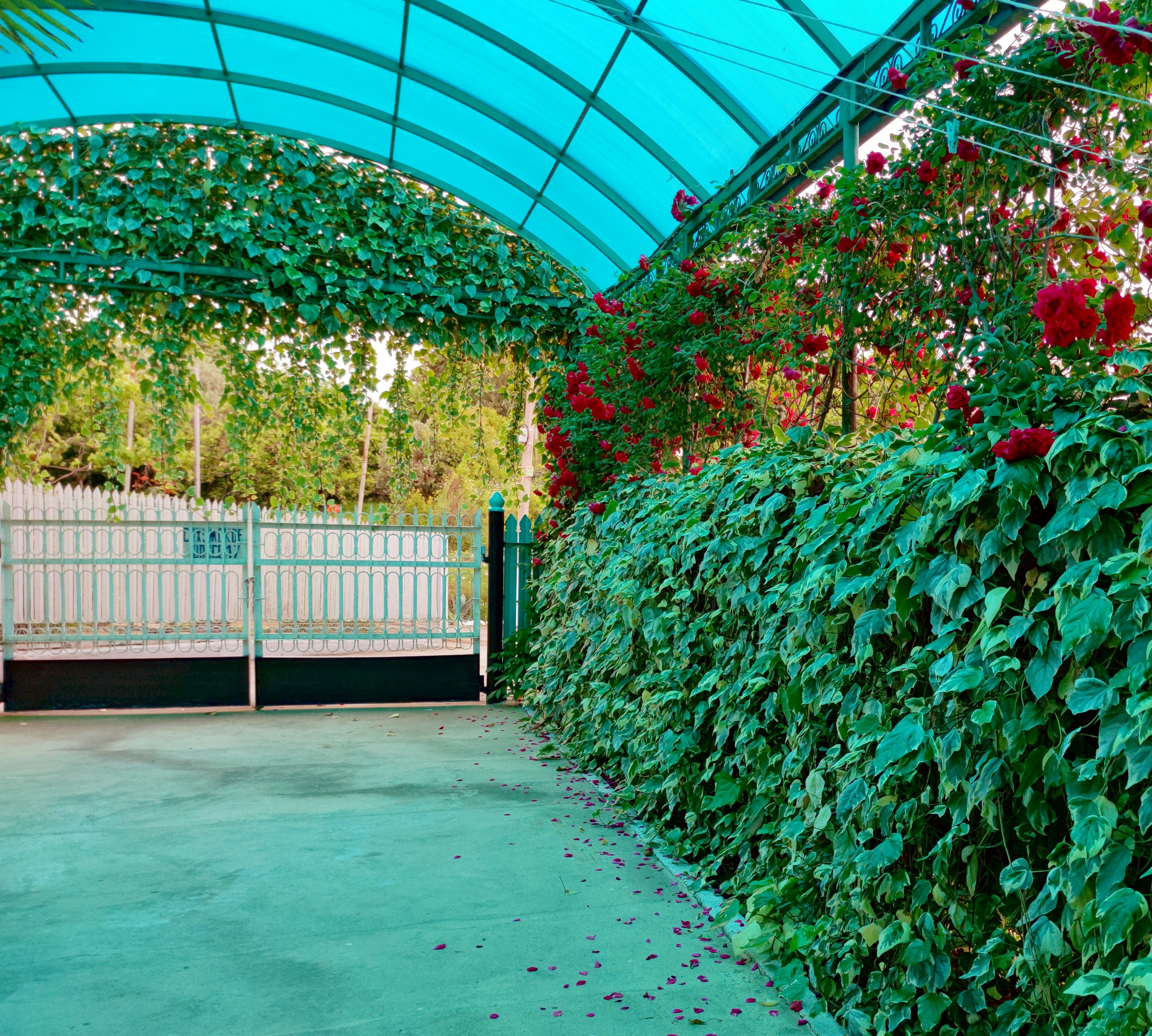 Фото Гостевой дом