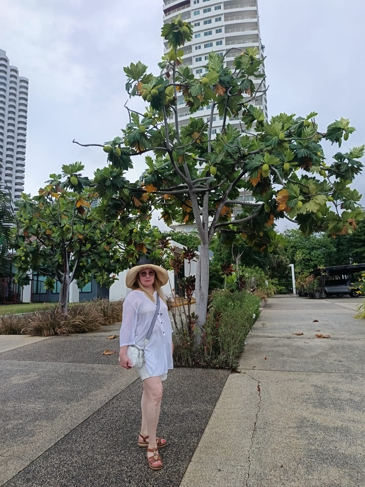 Фото D Varee Jomtien Beach