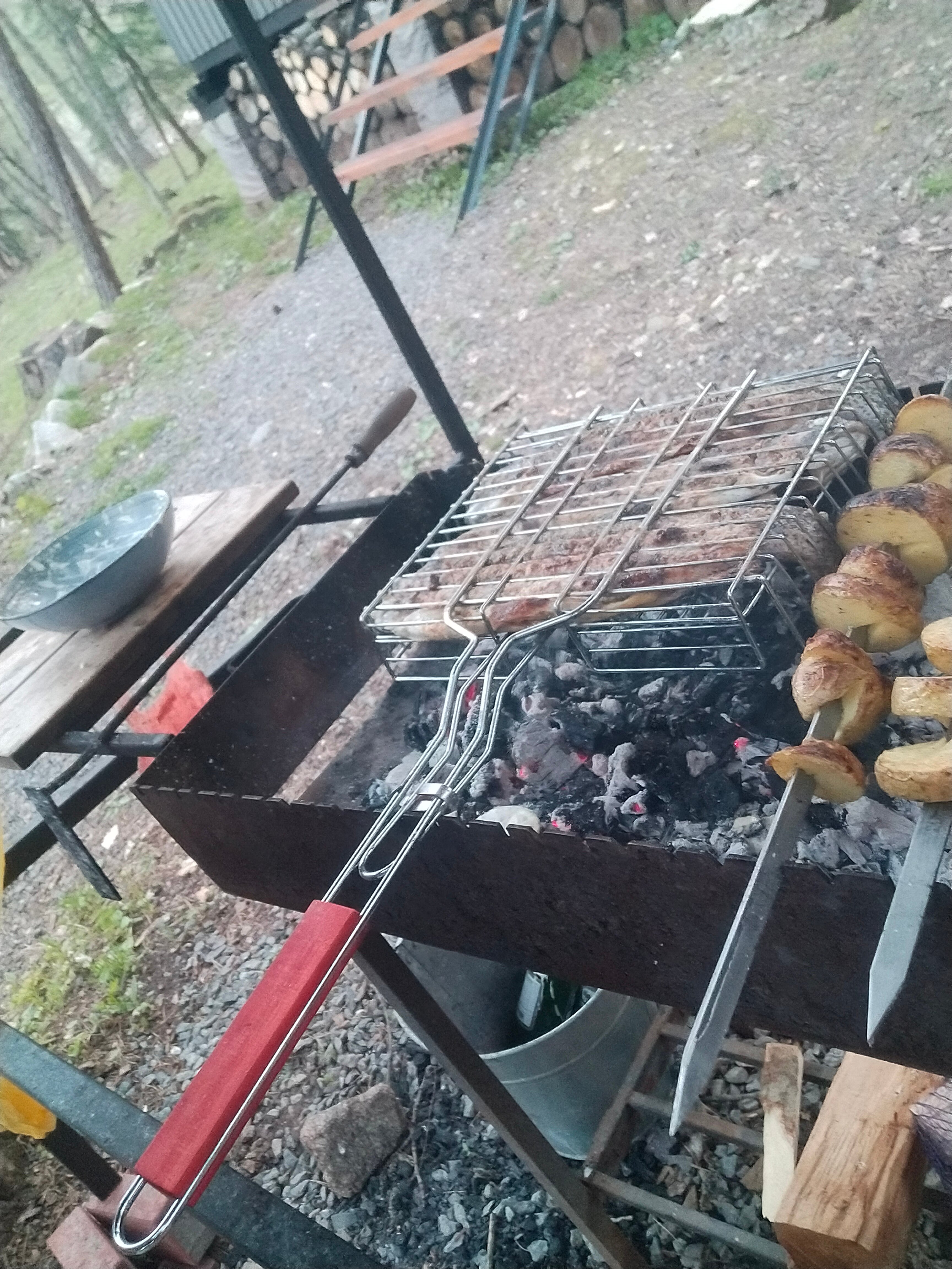 Фото Шелест