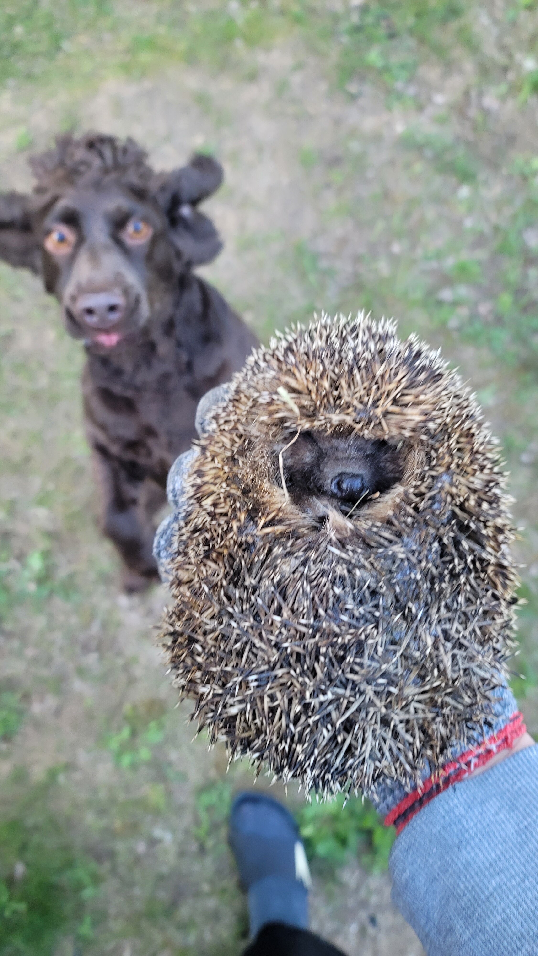 Фото Зелёная Тропа. Деревня