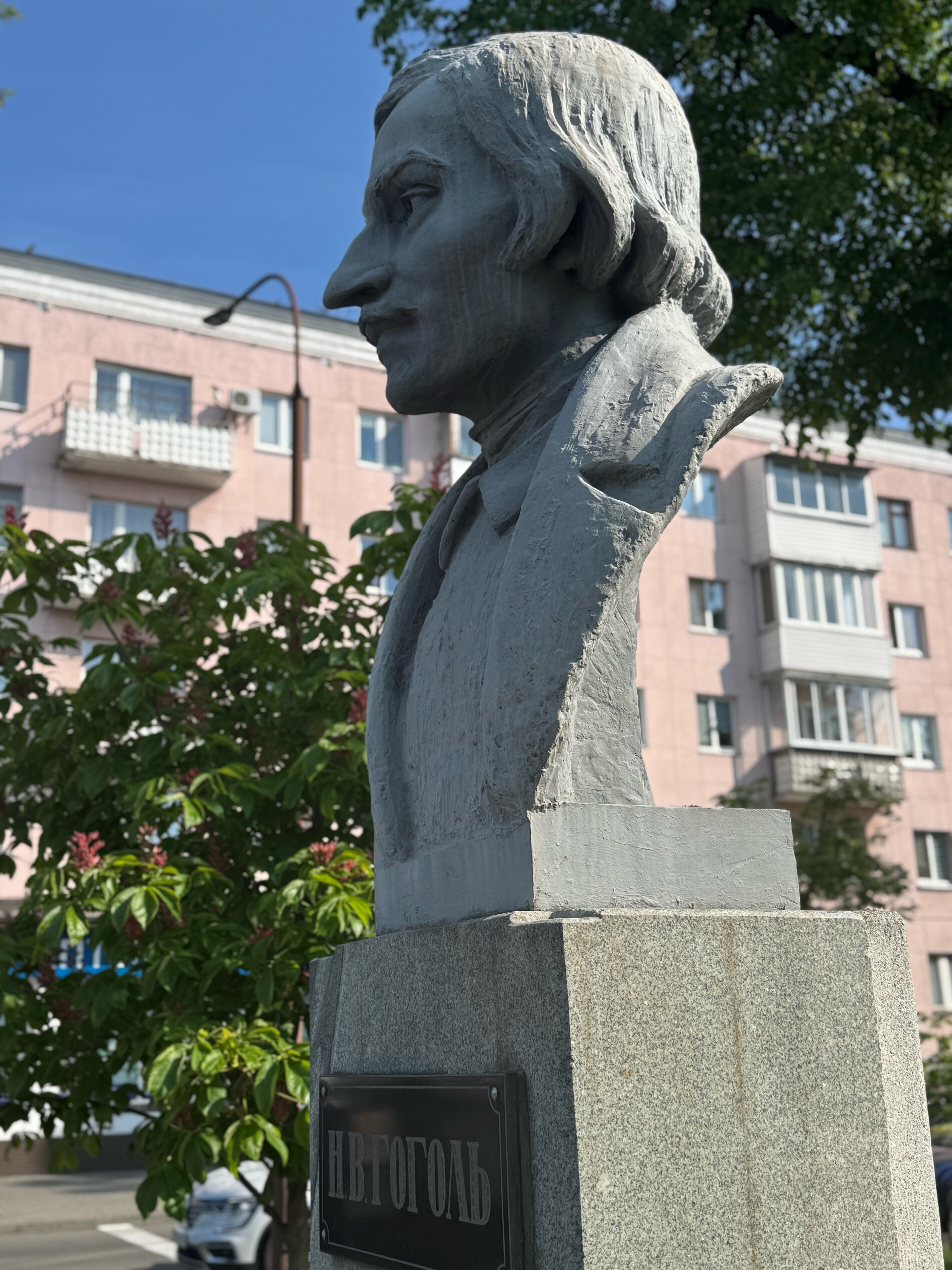 Фото Пять колец