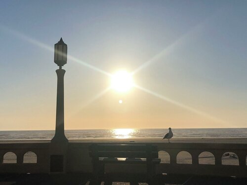Гостиница Ebb Tide Oceanfront Inn