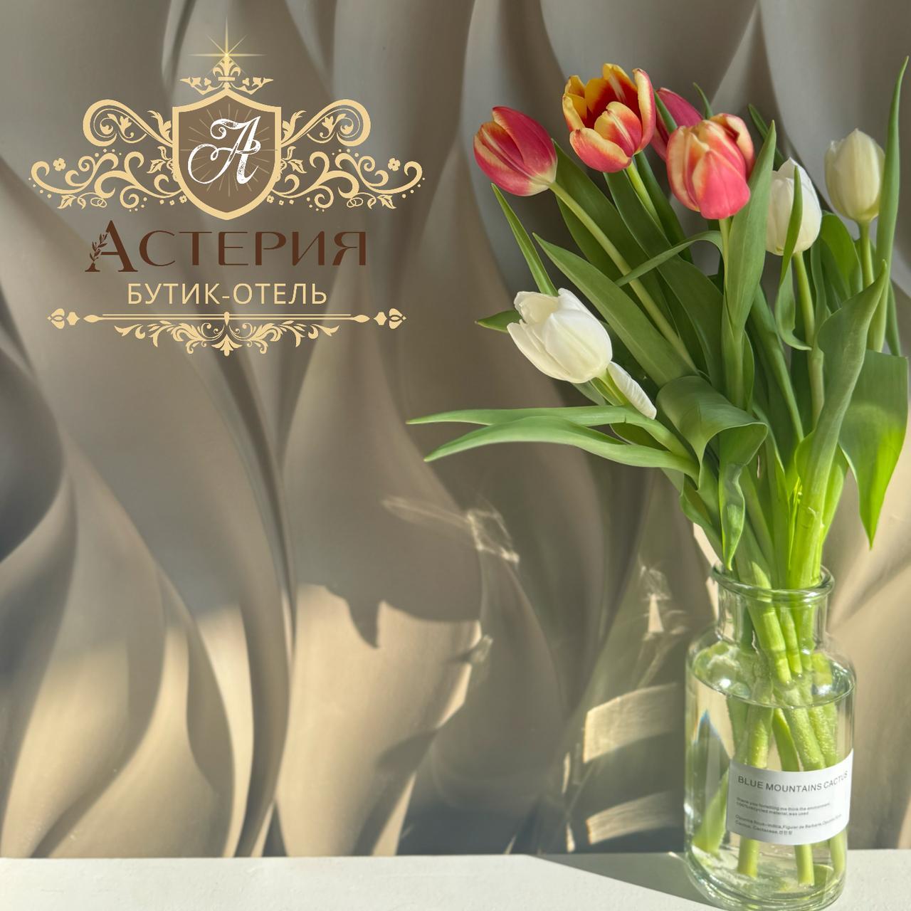 Фото Астерия