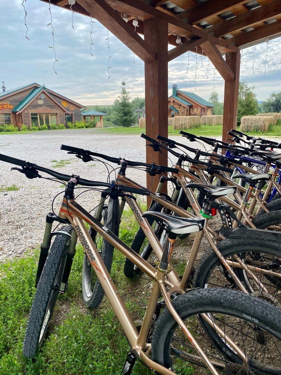 Фото Золото Алтая